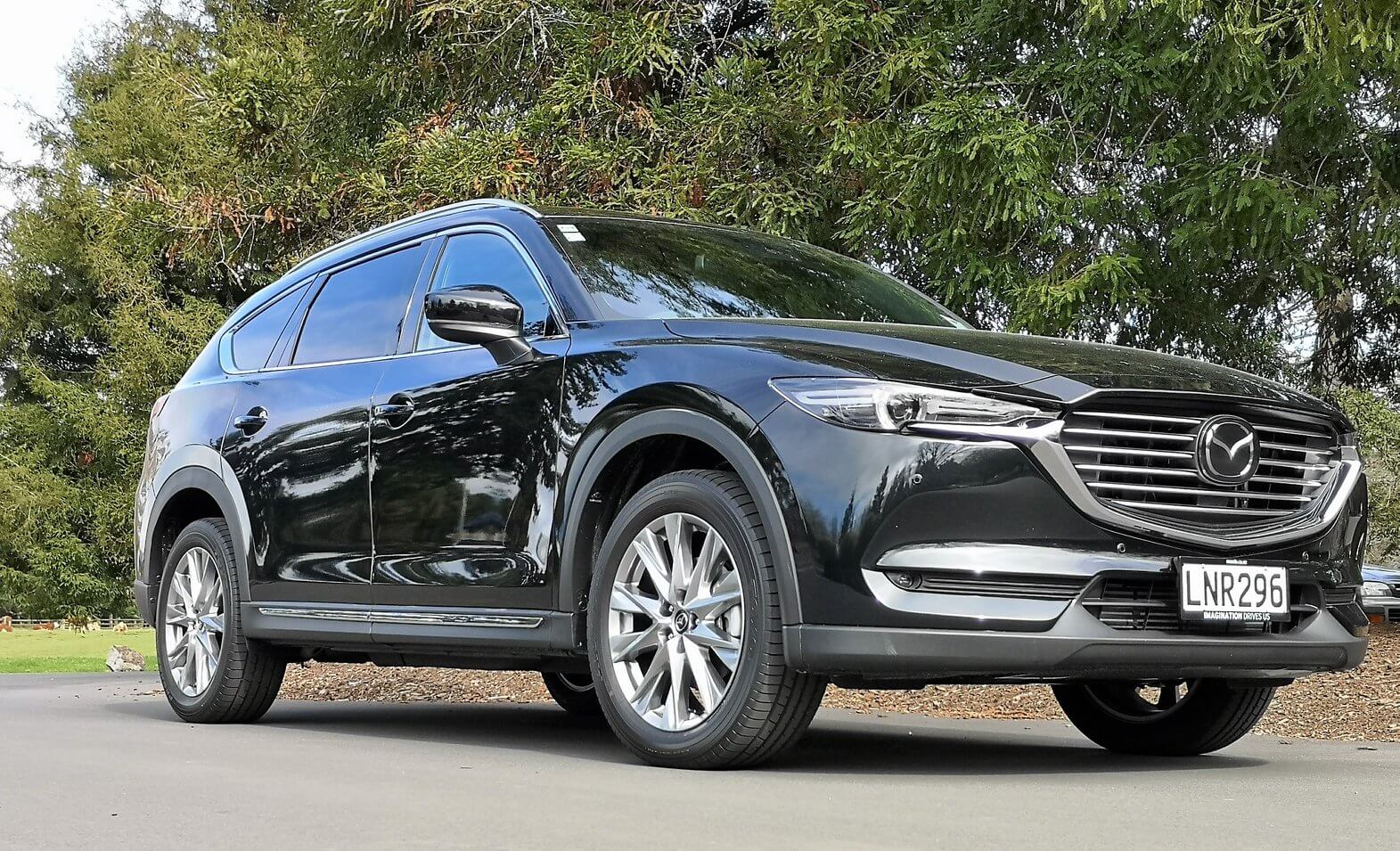 Mazda CX-8 review New Zealand