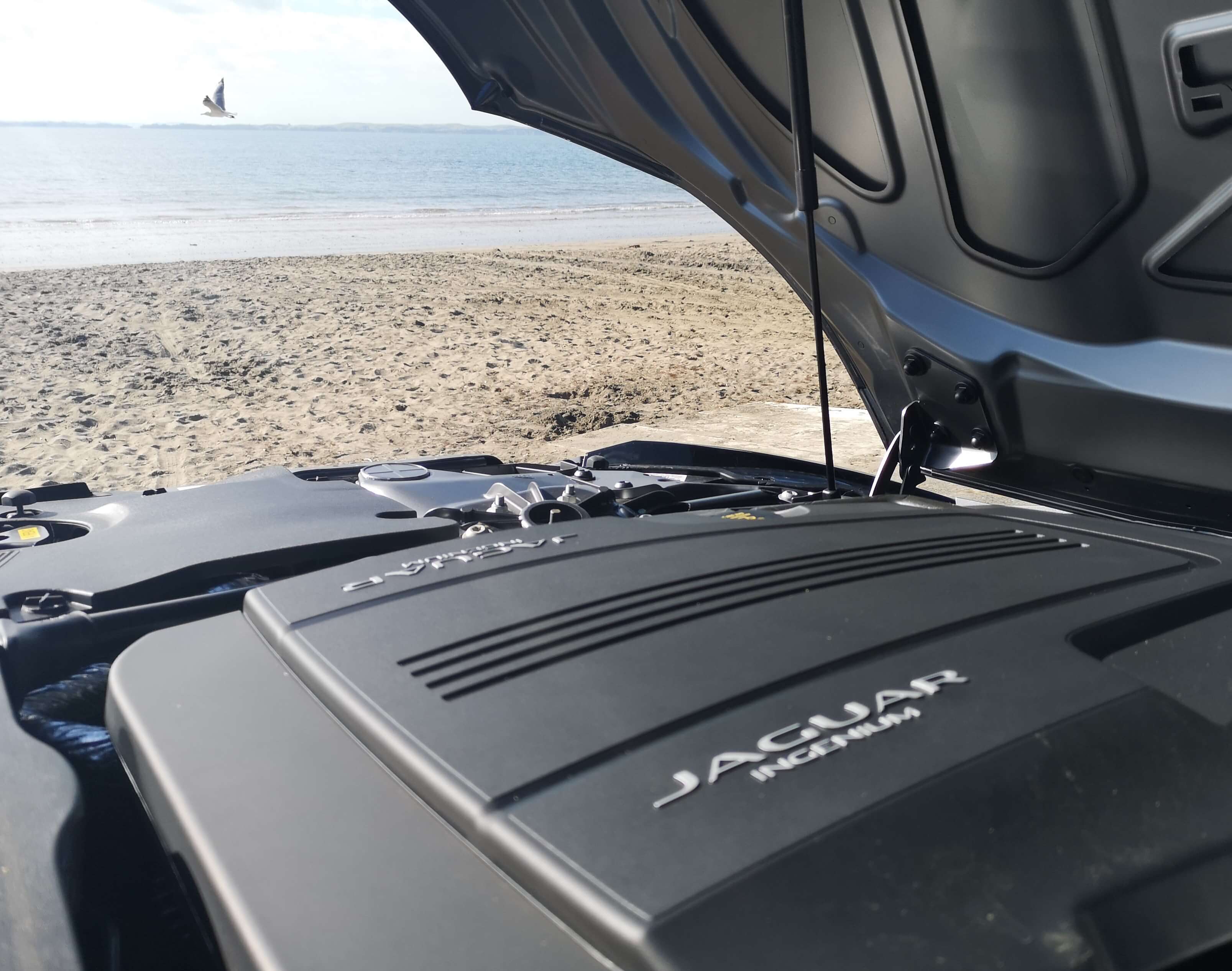 Jaguar F-Type P300 Convertible Review