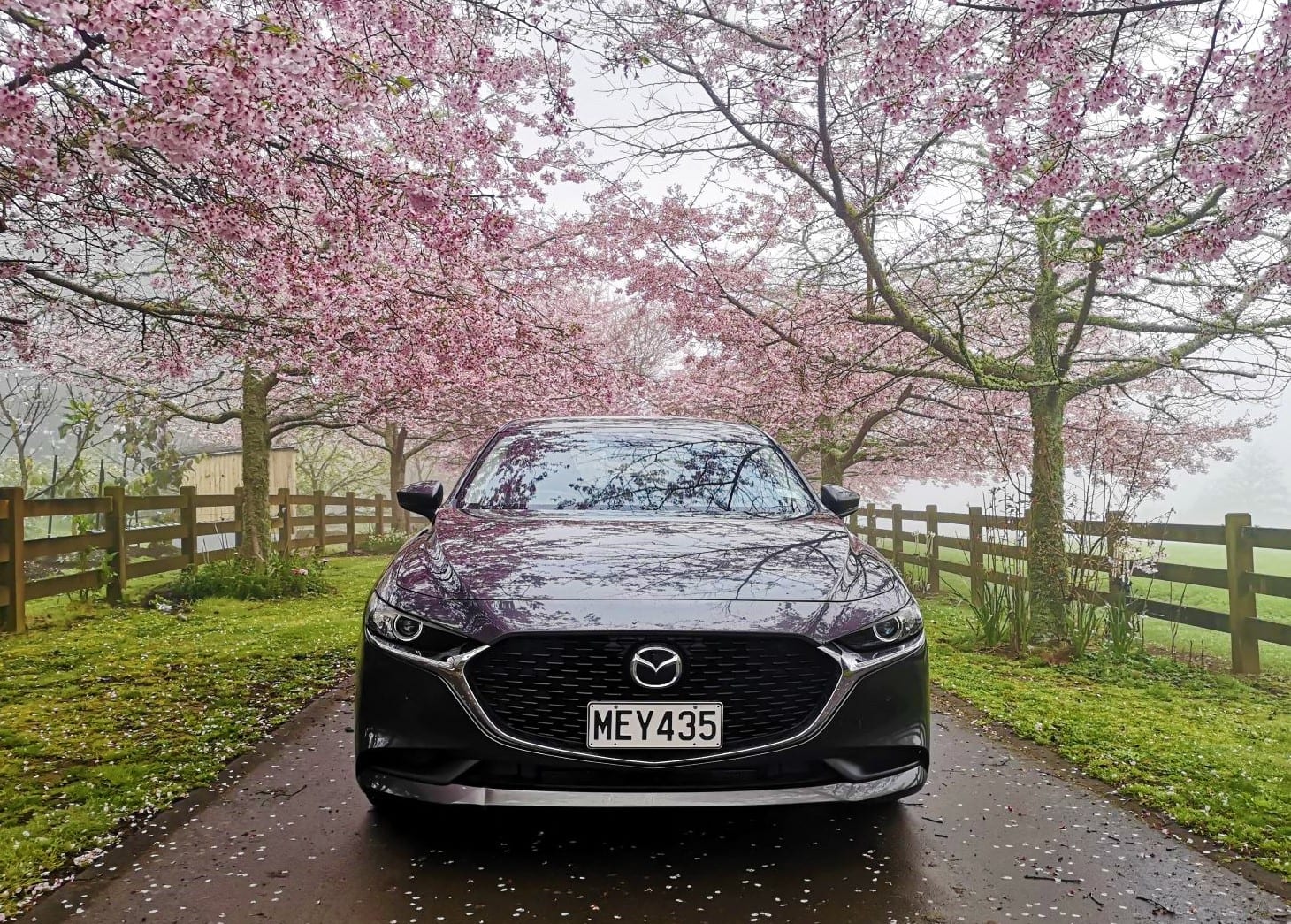 Mazda3 Sedan Review NZ