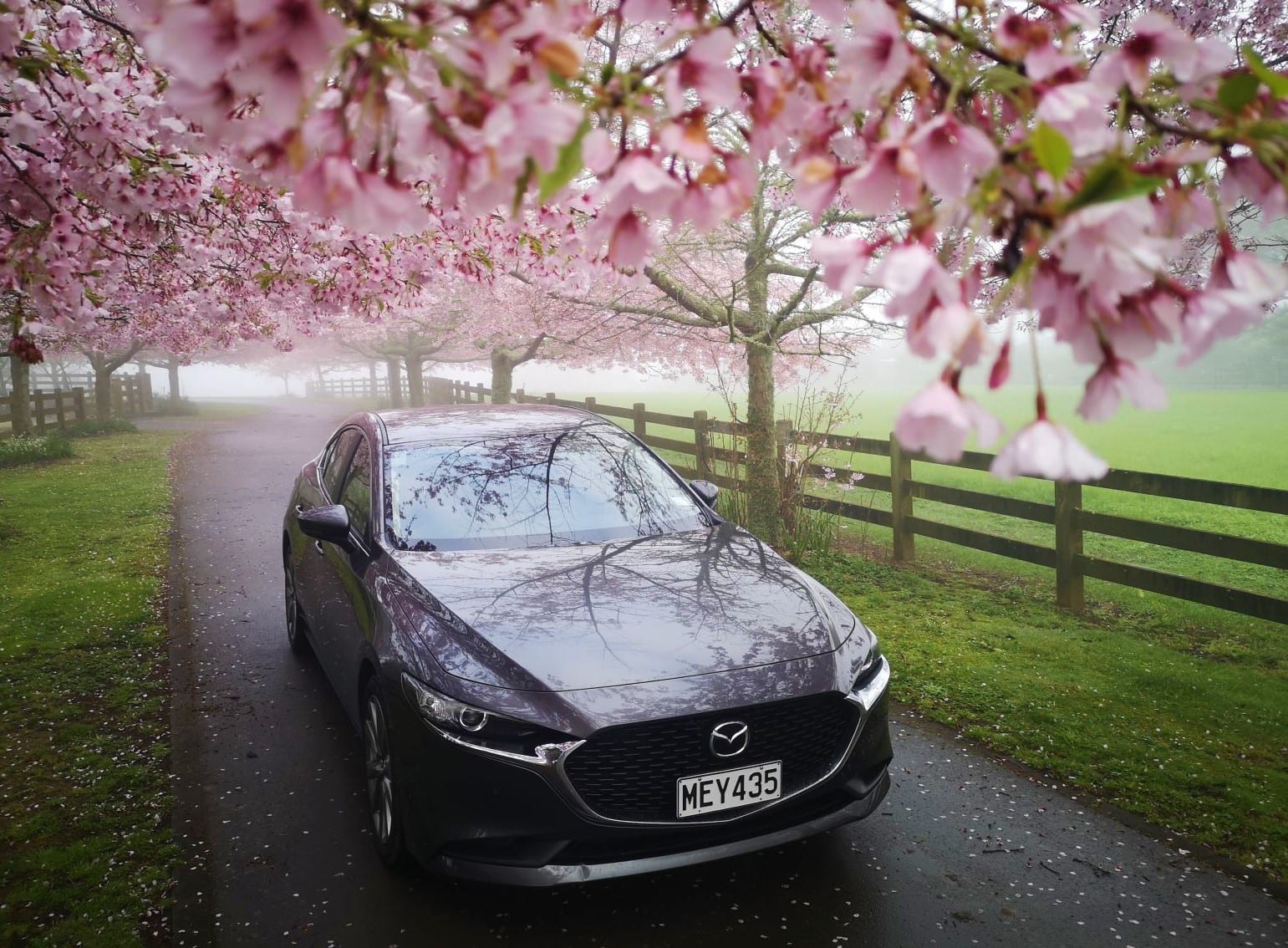 Mazda3 Sedan Review NZ