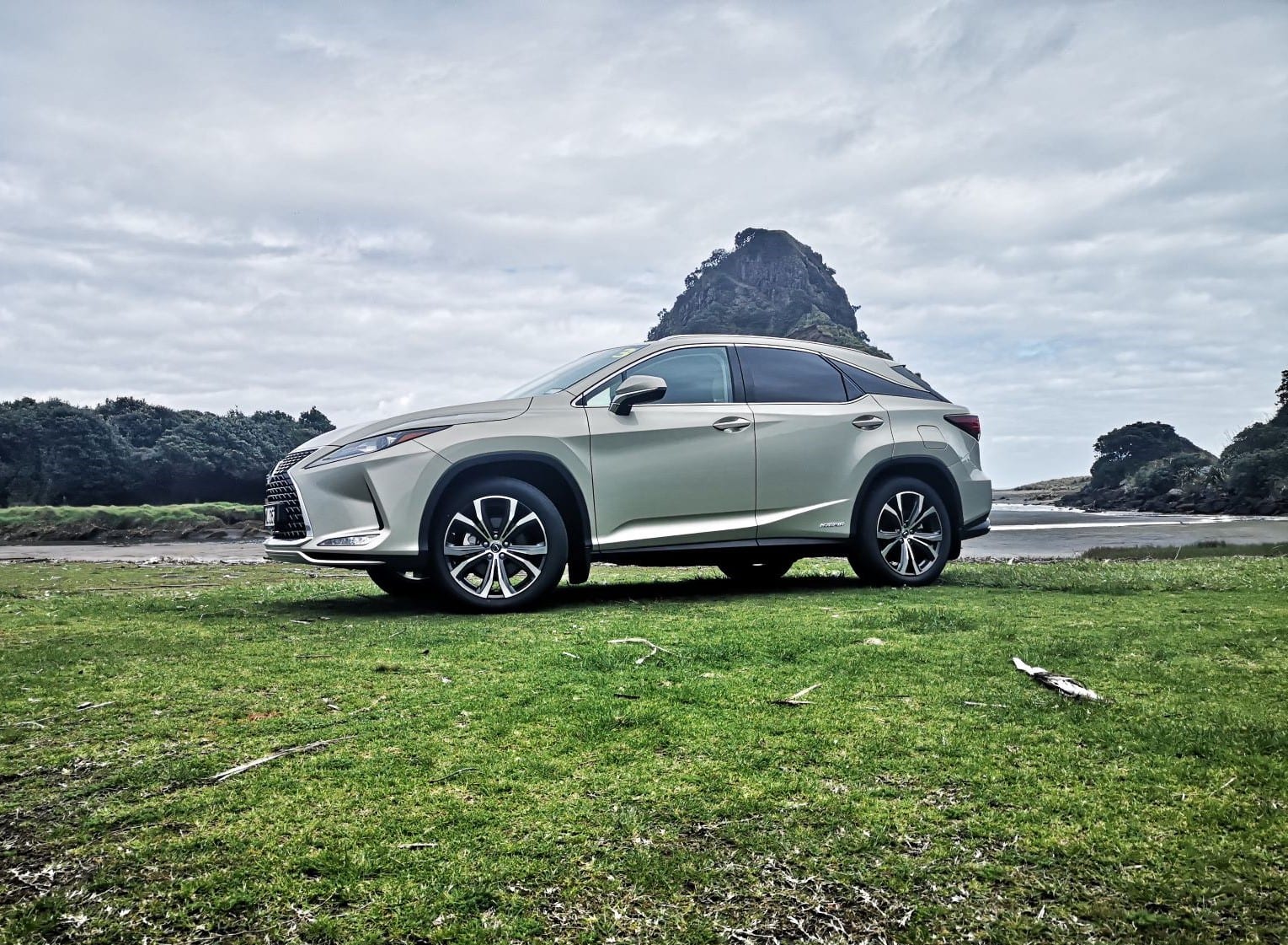 2020 Lexus RX Review NZ