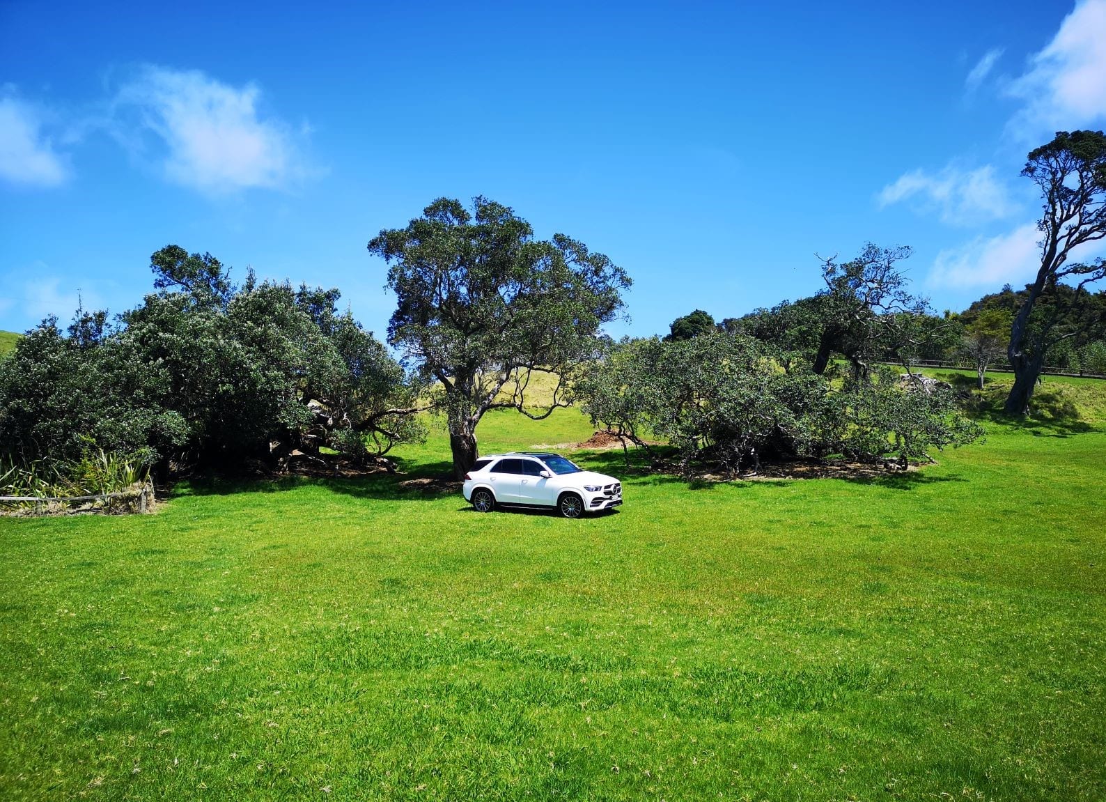 Mercedes-Benz GLE 300 d Review NZ