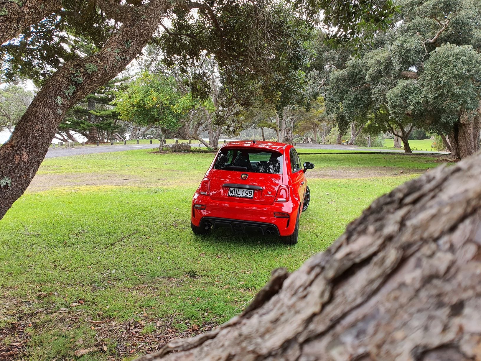 Looking at the red Abarth 595 through the trees.