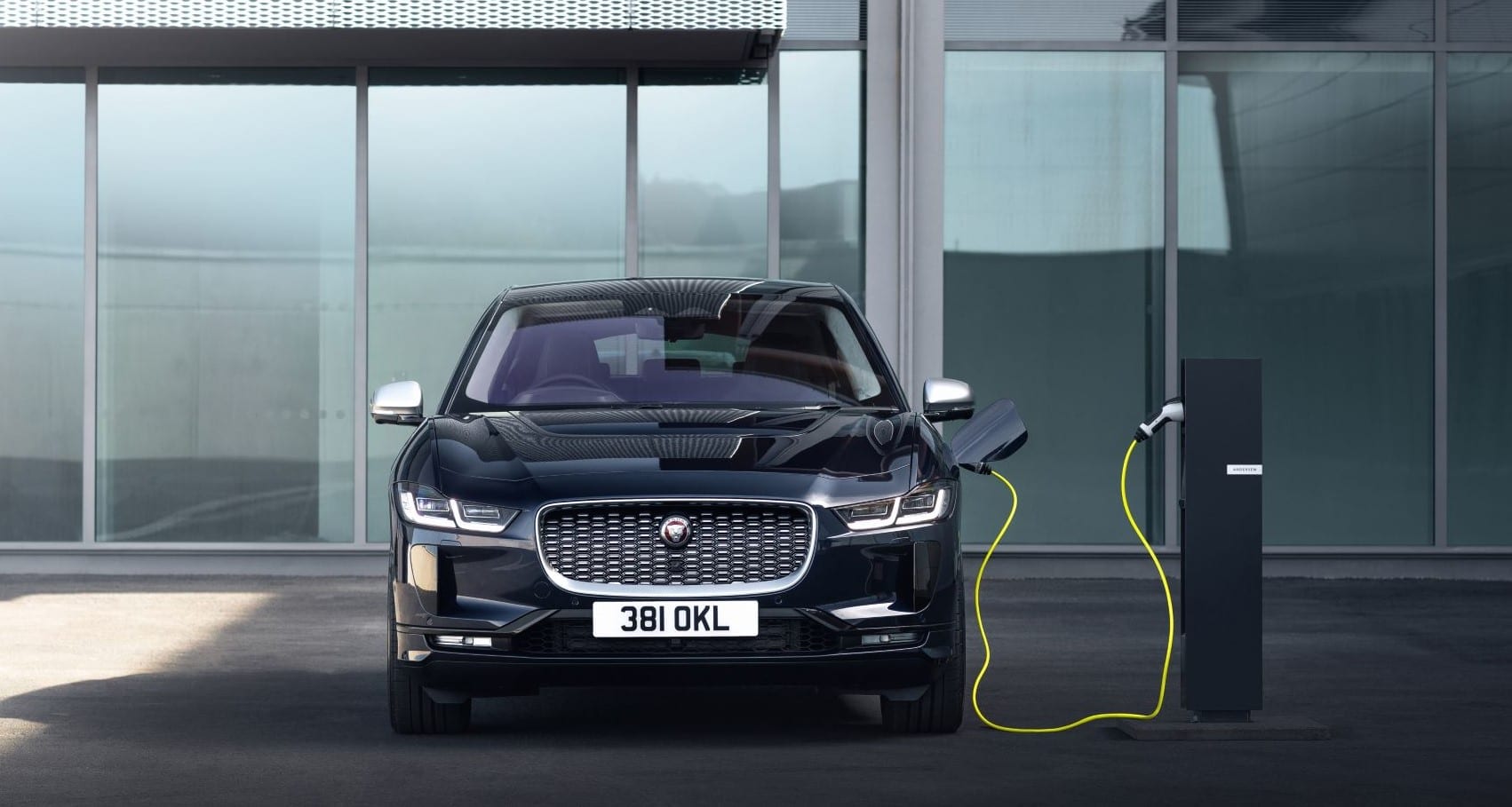 Jaguar reality project NZ