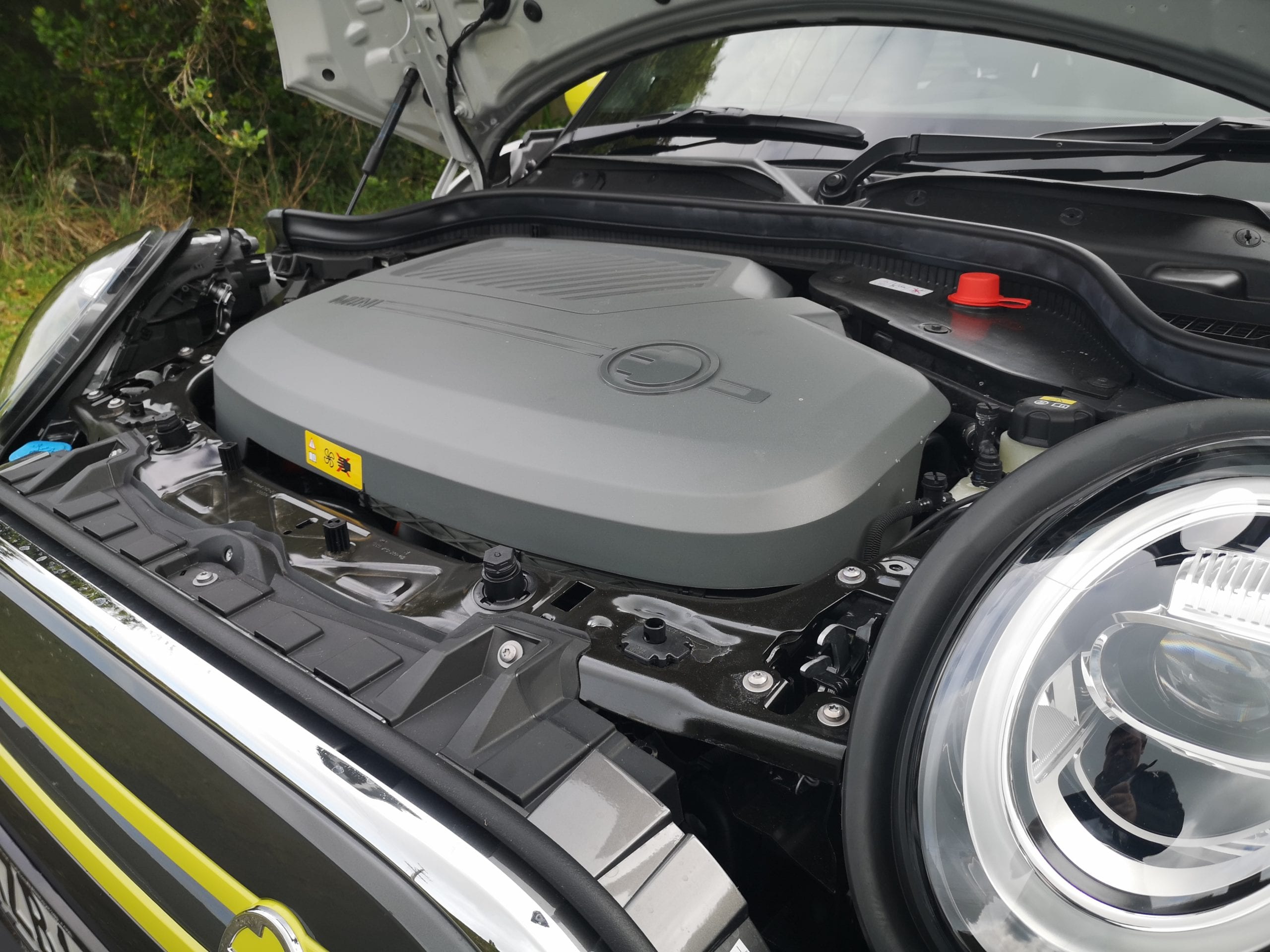 Electric Mini NZ