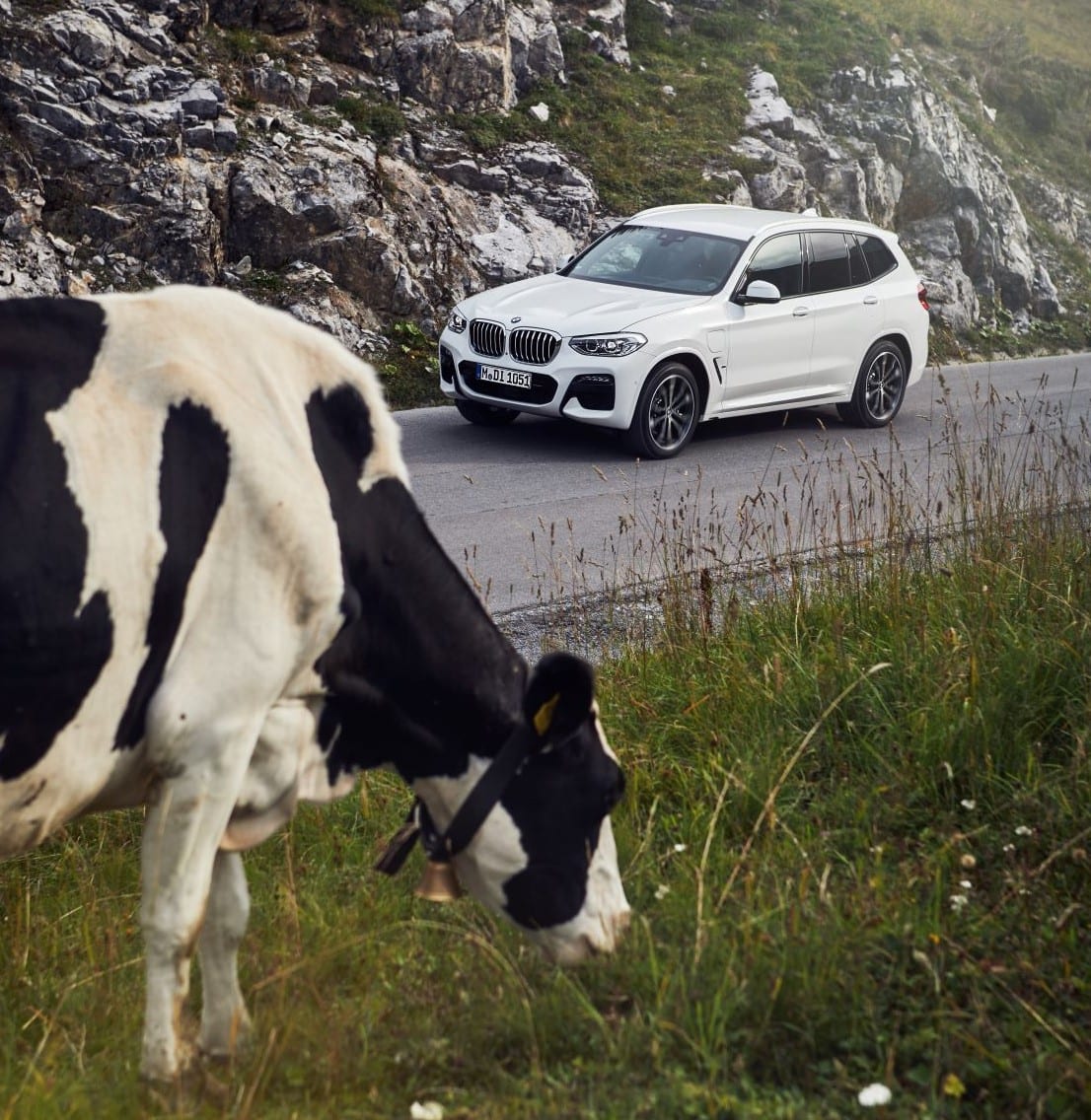 Sustainability BMW NZ