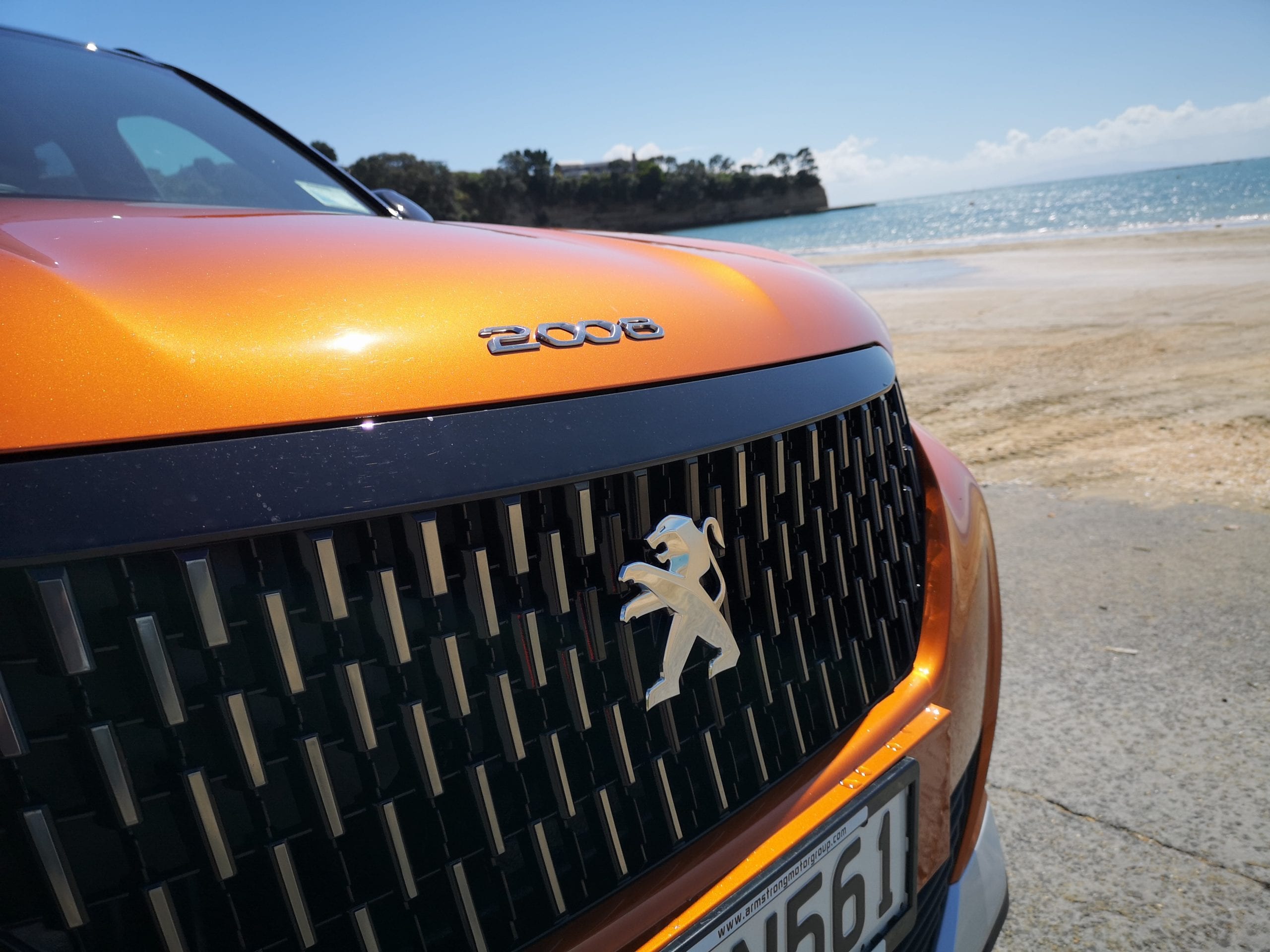 Peugeot 2008 grille