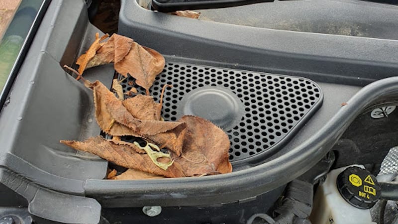 Leaves in SEAT Ateca engine bay