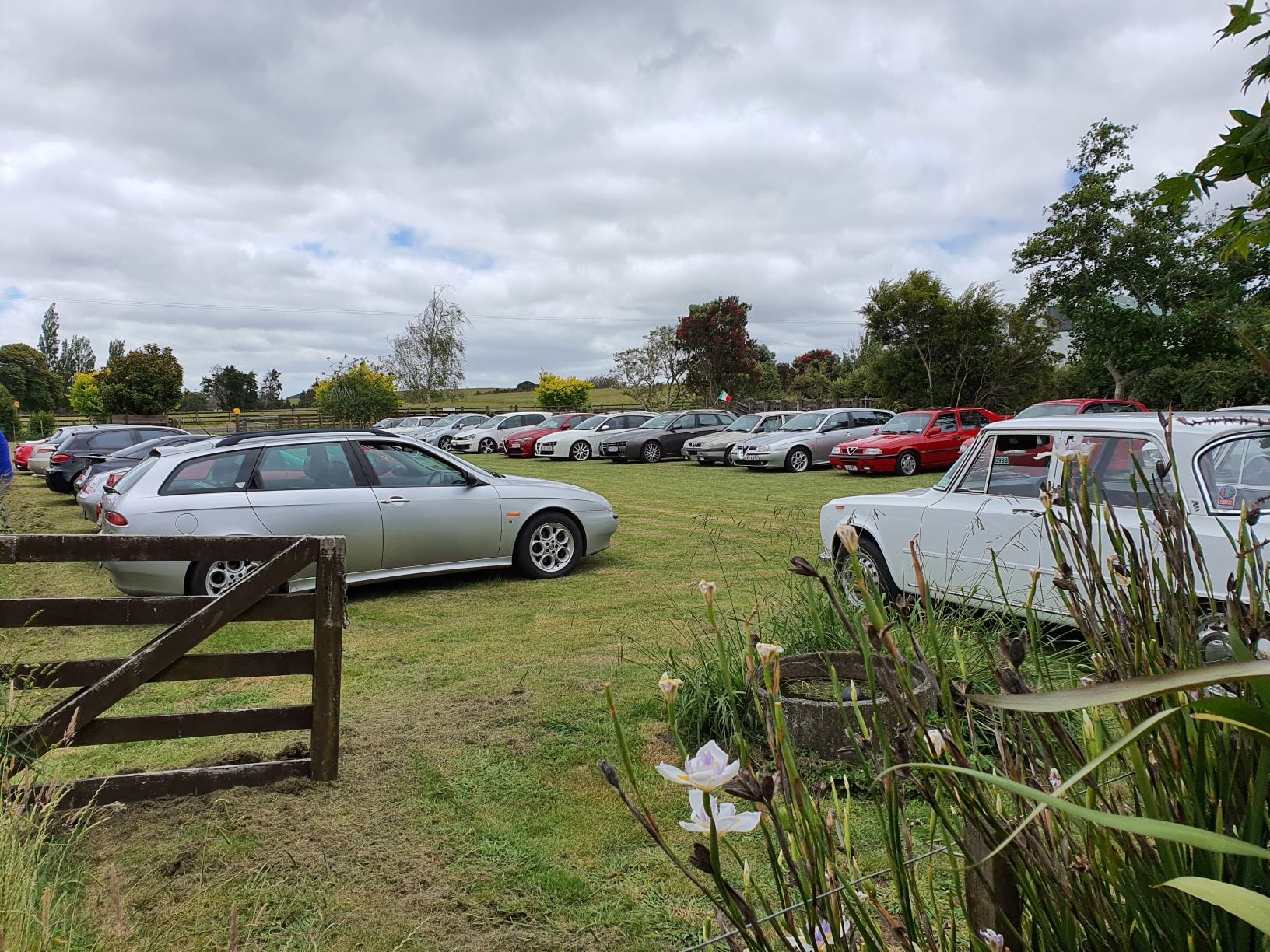 The display of Alfas