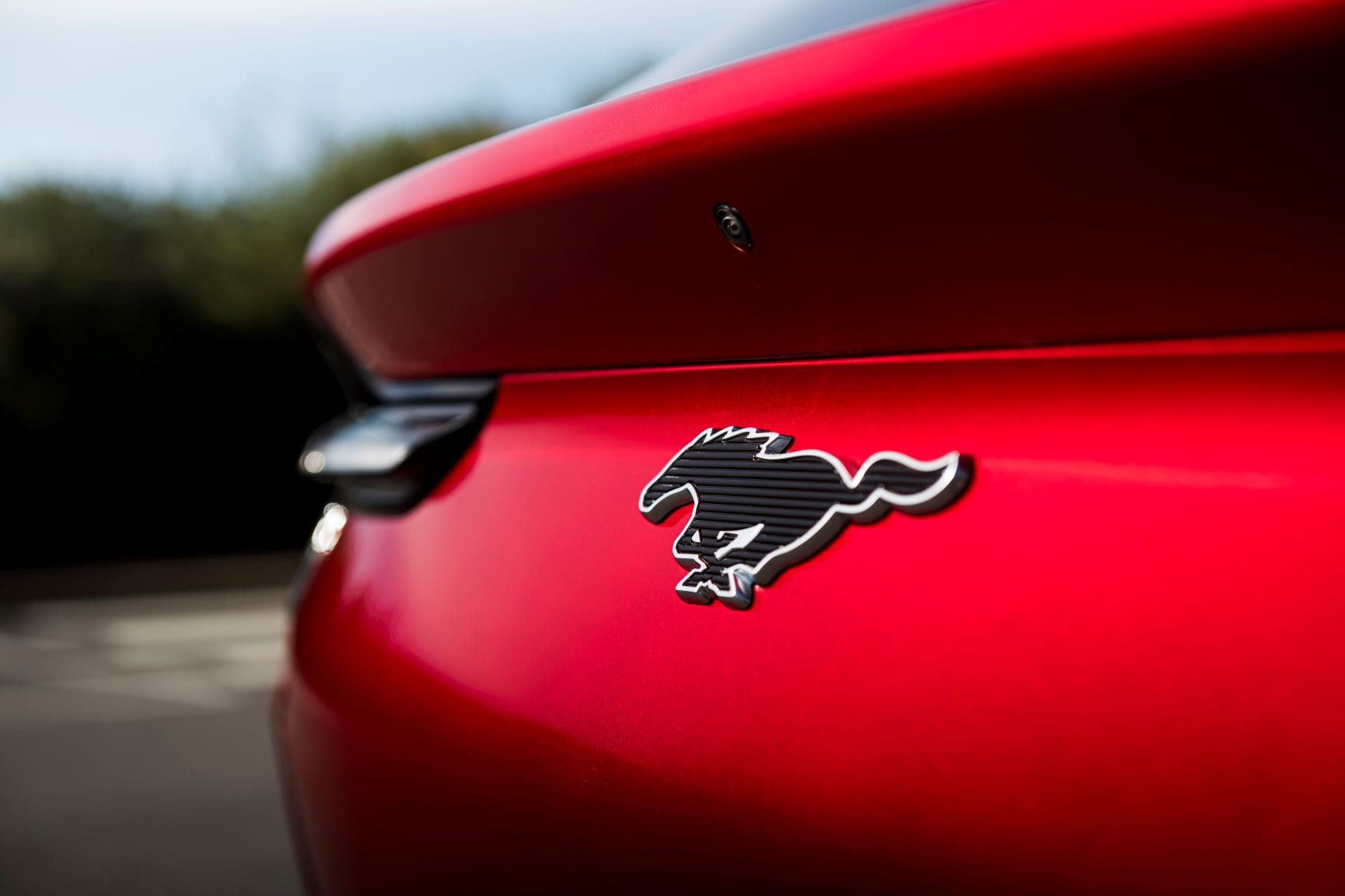Mustang logo
