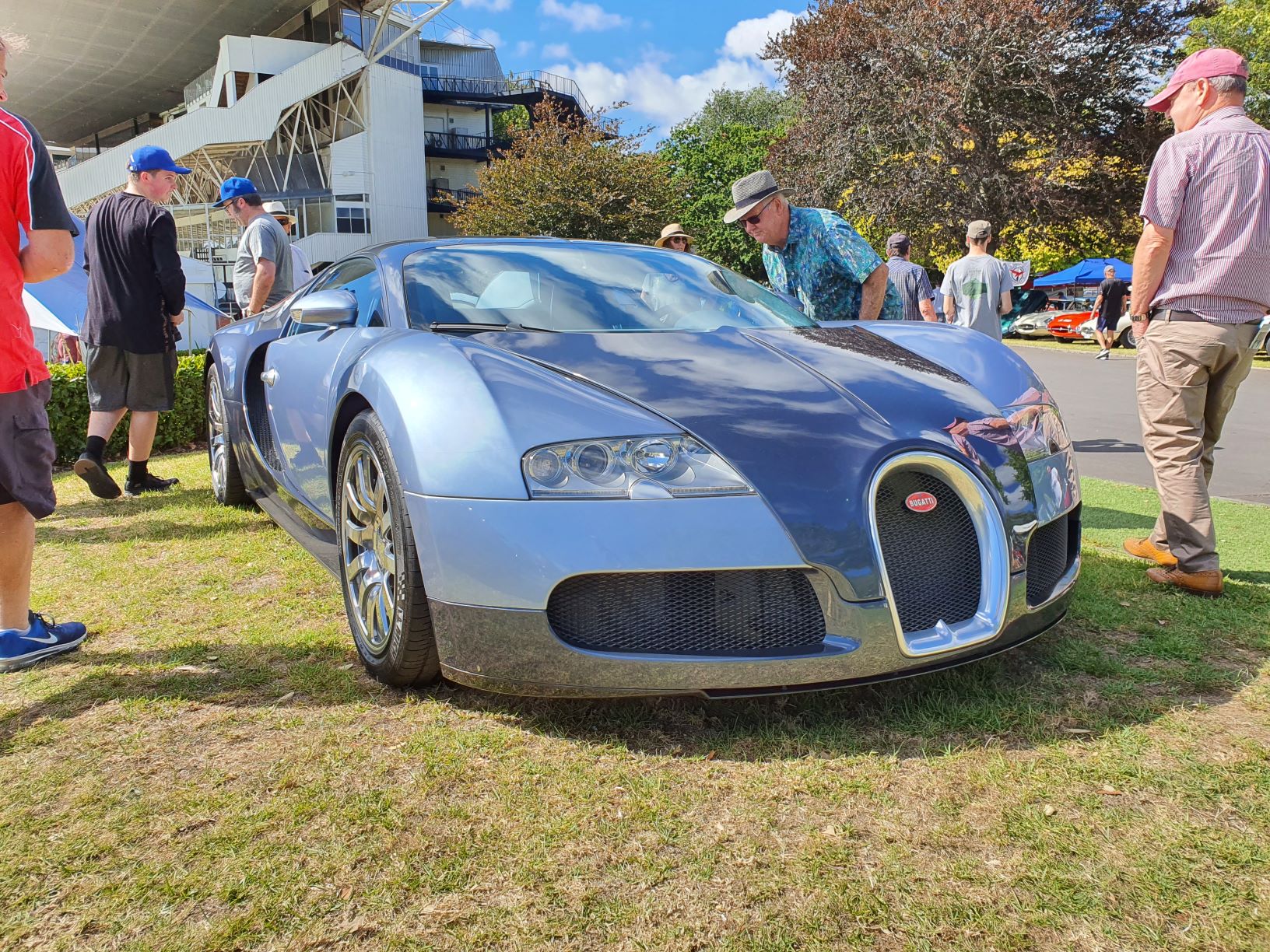 Bugatti Veyron in silver and blue