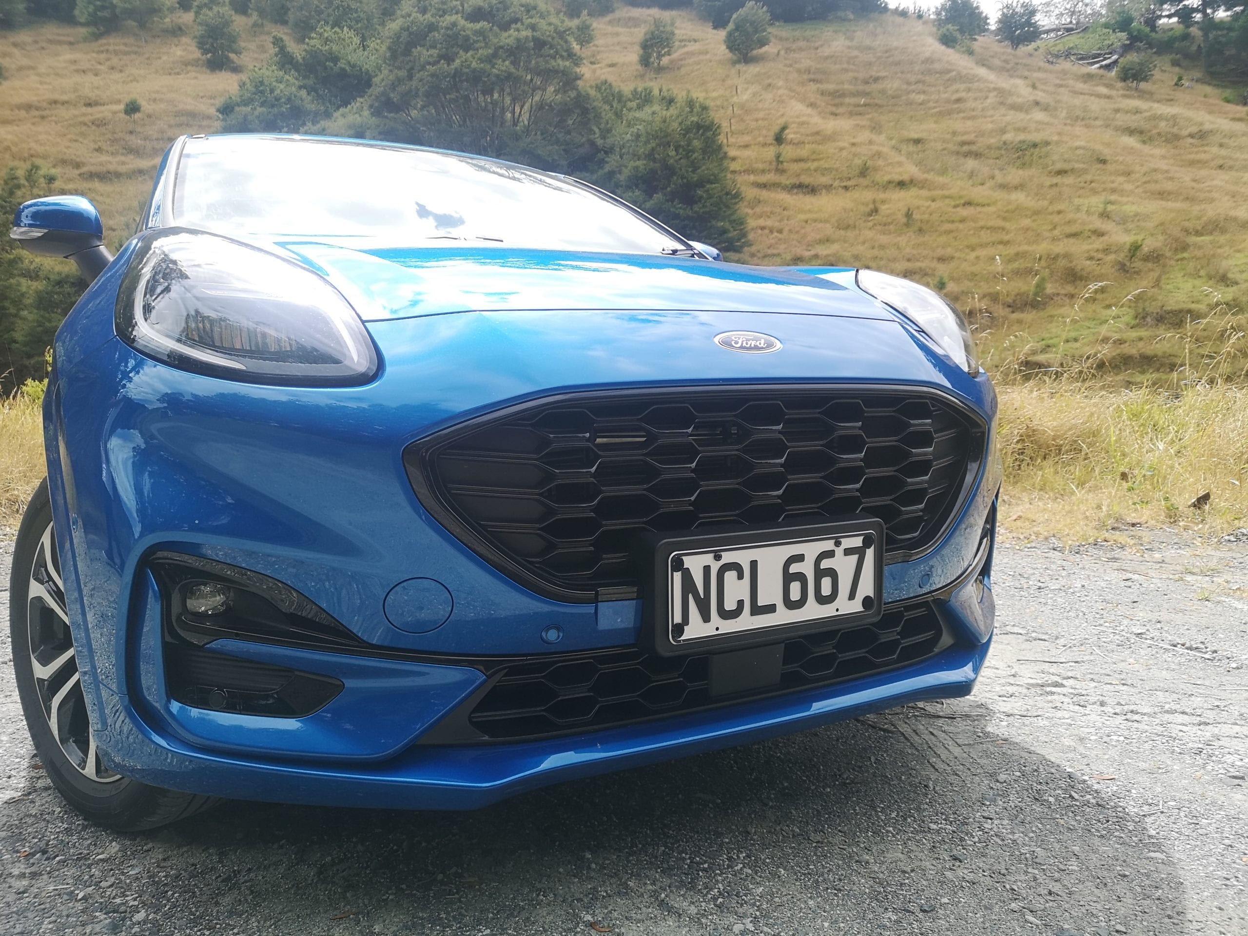 Puma Grille