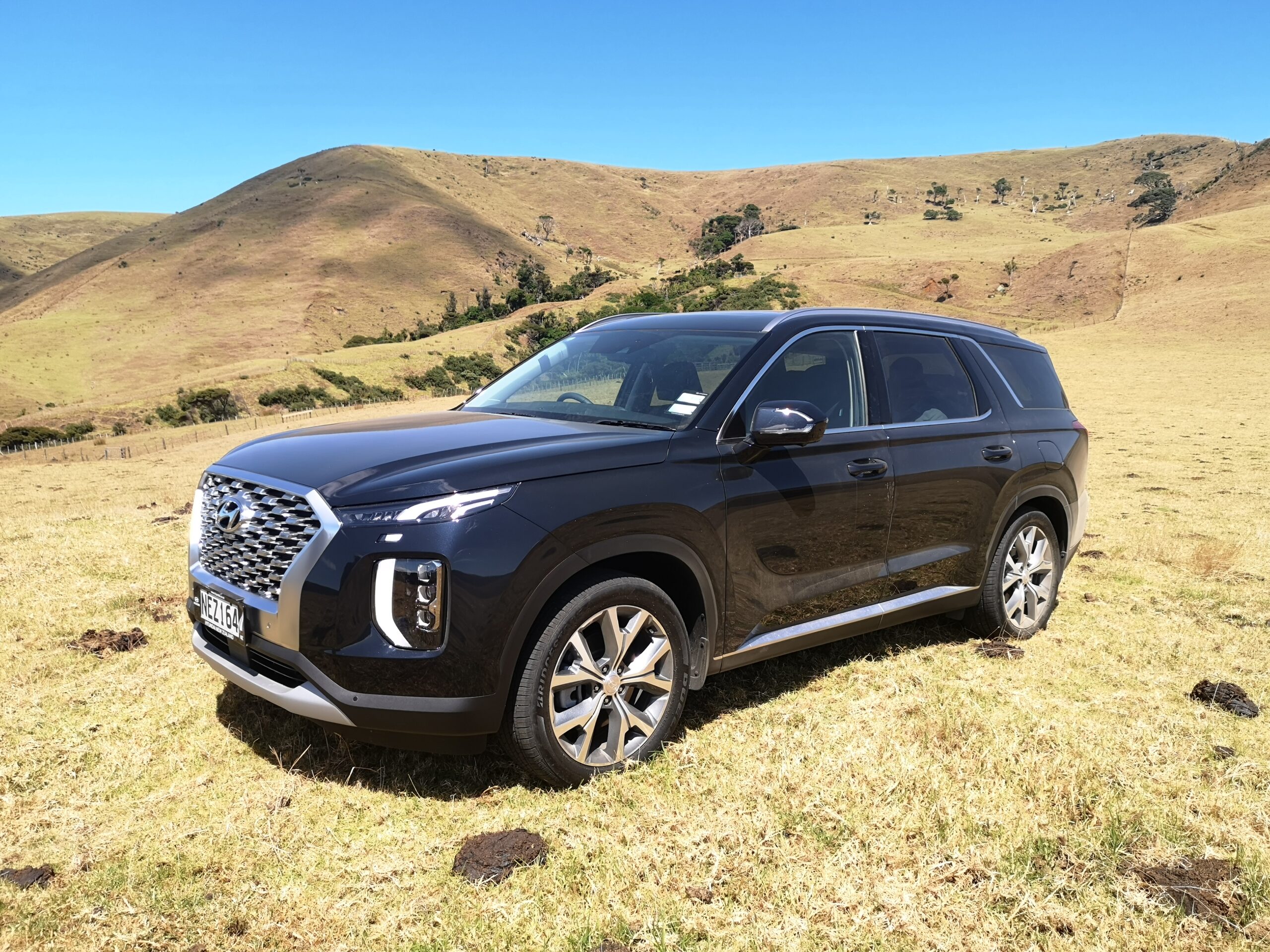 Hyundai Palisade NZ