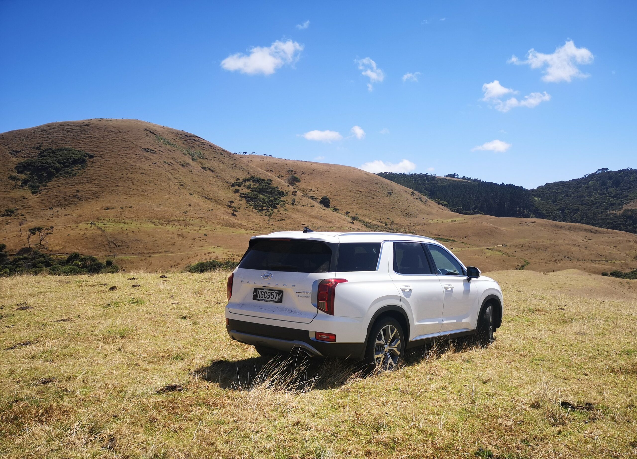 Hyundai Palisade NZ