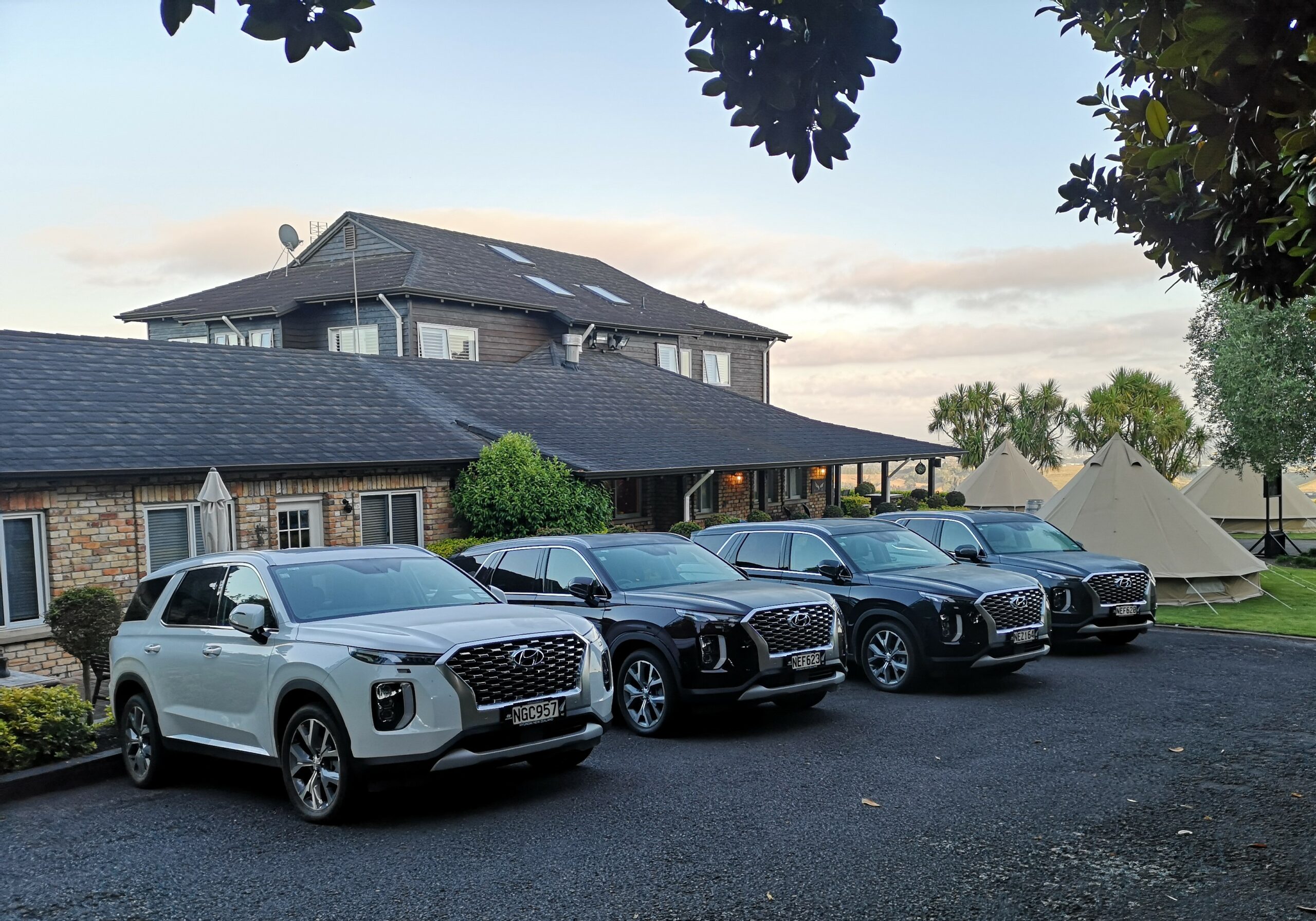 Hyundai Palisade NZ