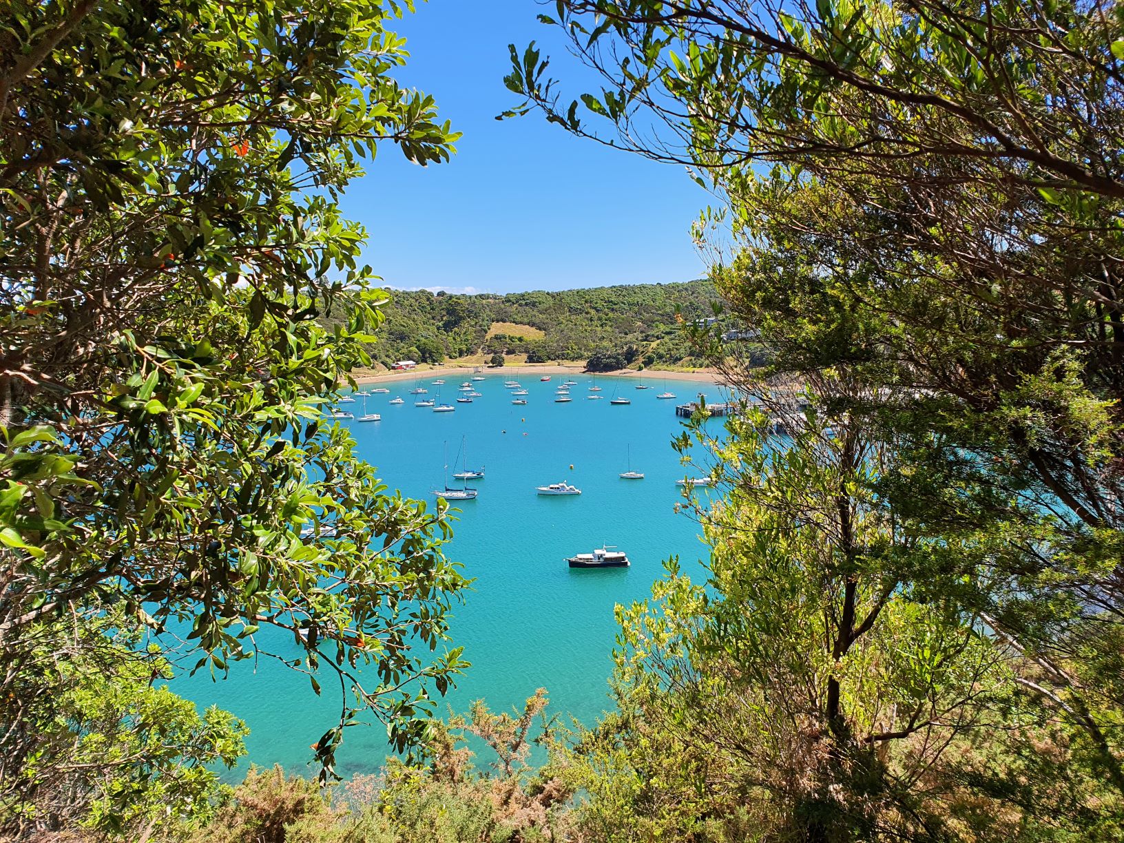A view through the trees on Waiheke Island