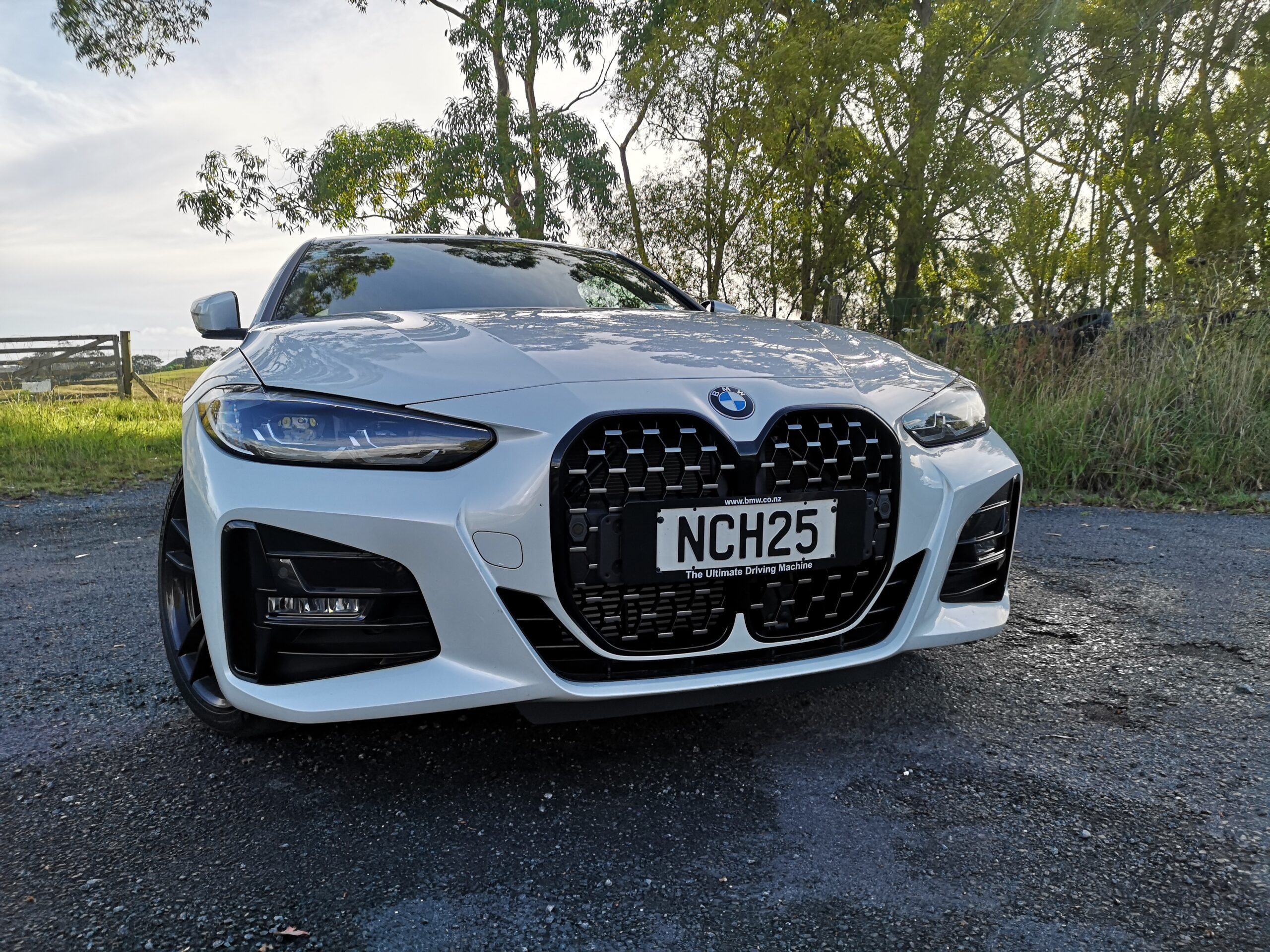 BMW 420i Kidney Grille