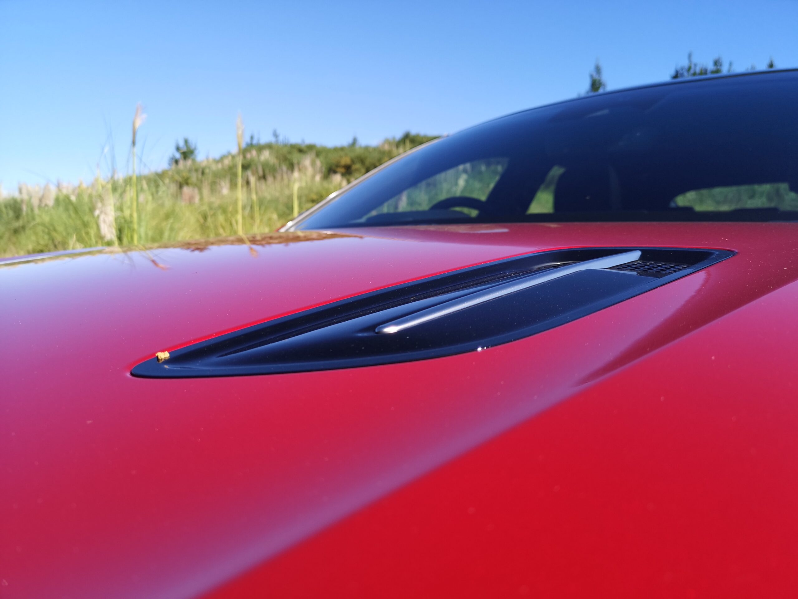 Stinger Bonnet Vents
