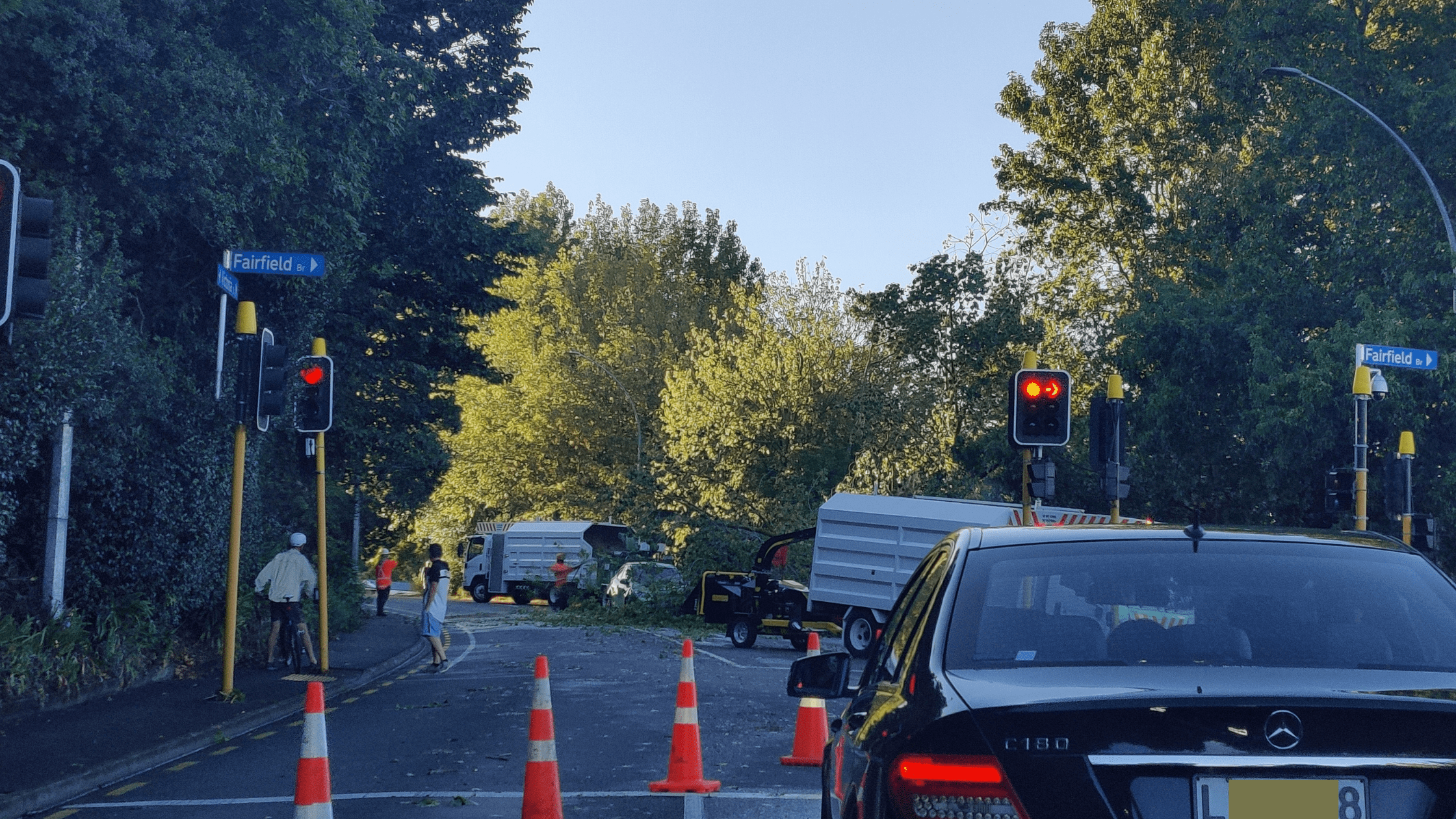 Tree fell on a car in Hamilton