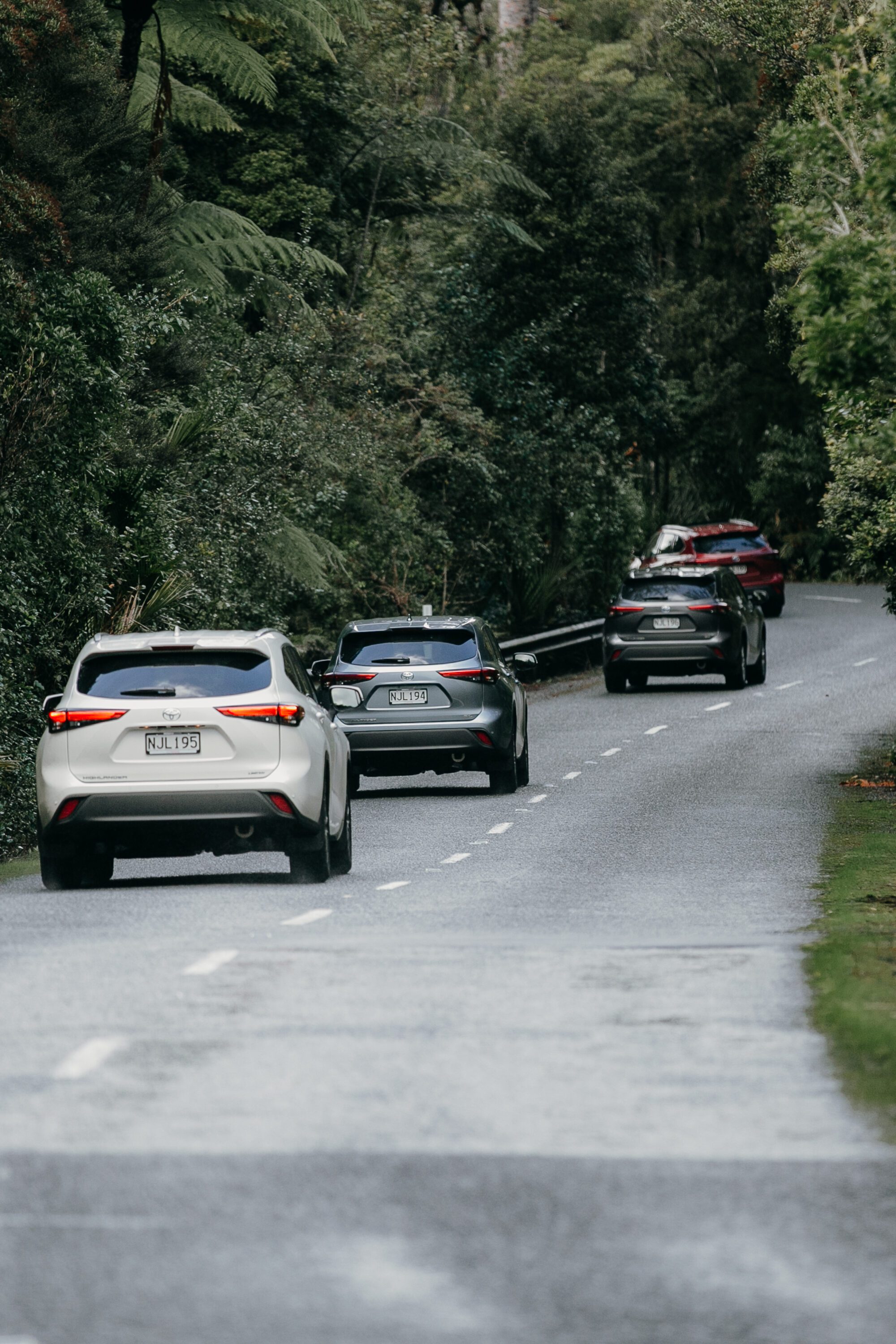 2021 Toyota HIGHLANDER Launch NZ