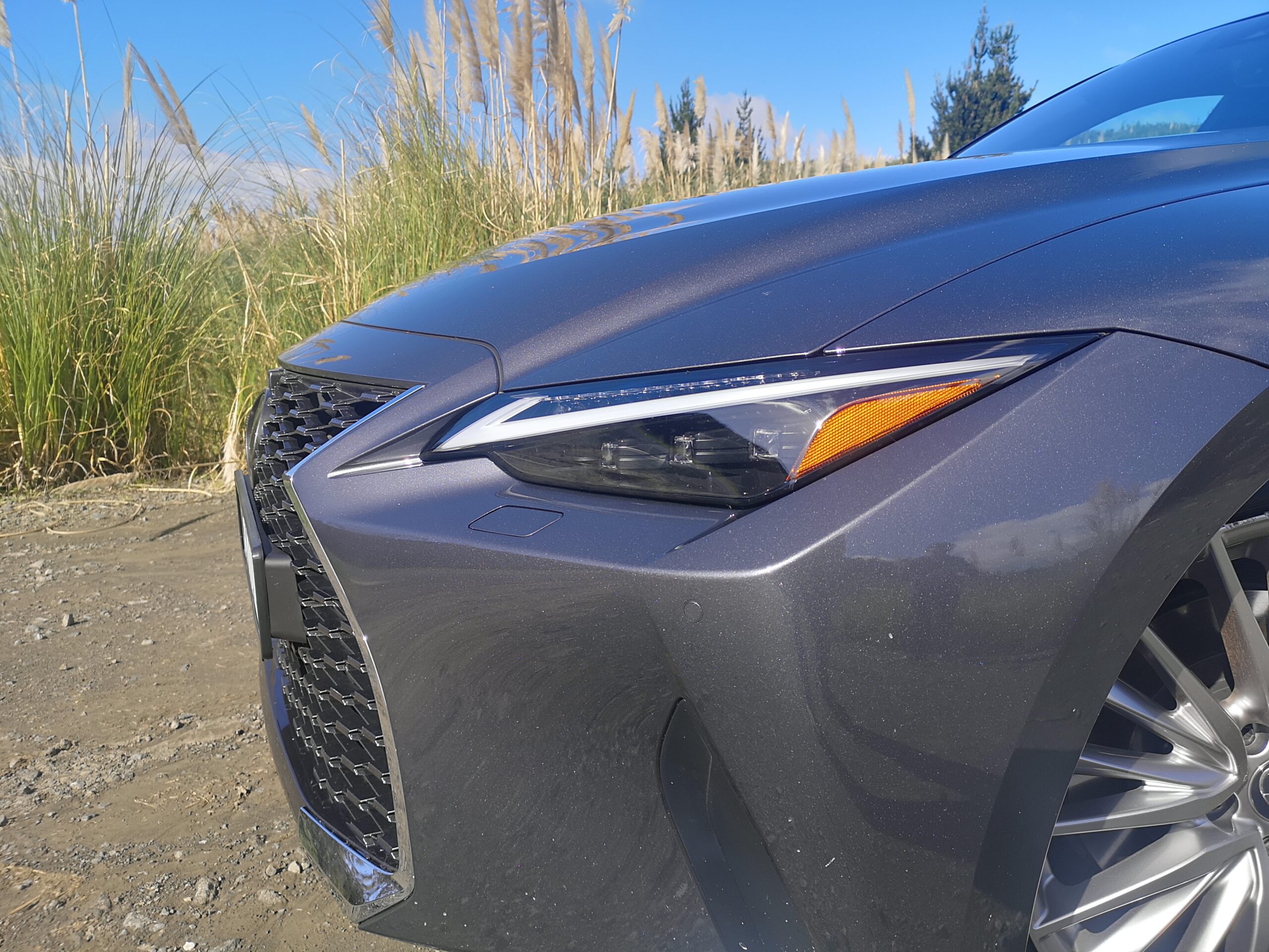 IS grille
