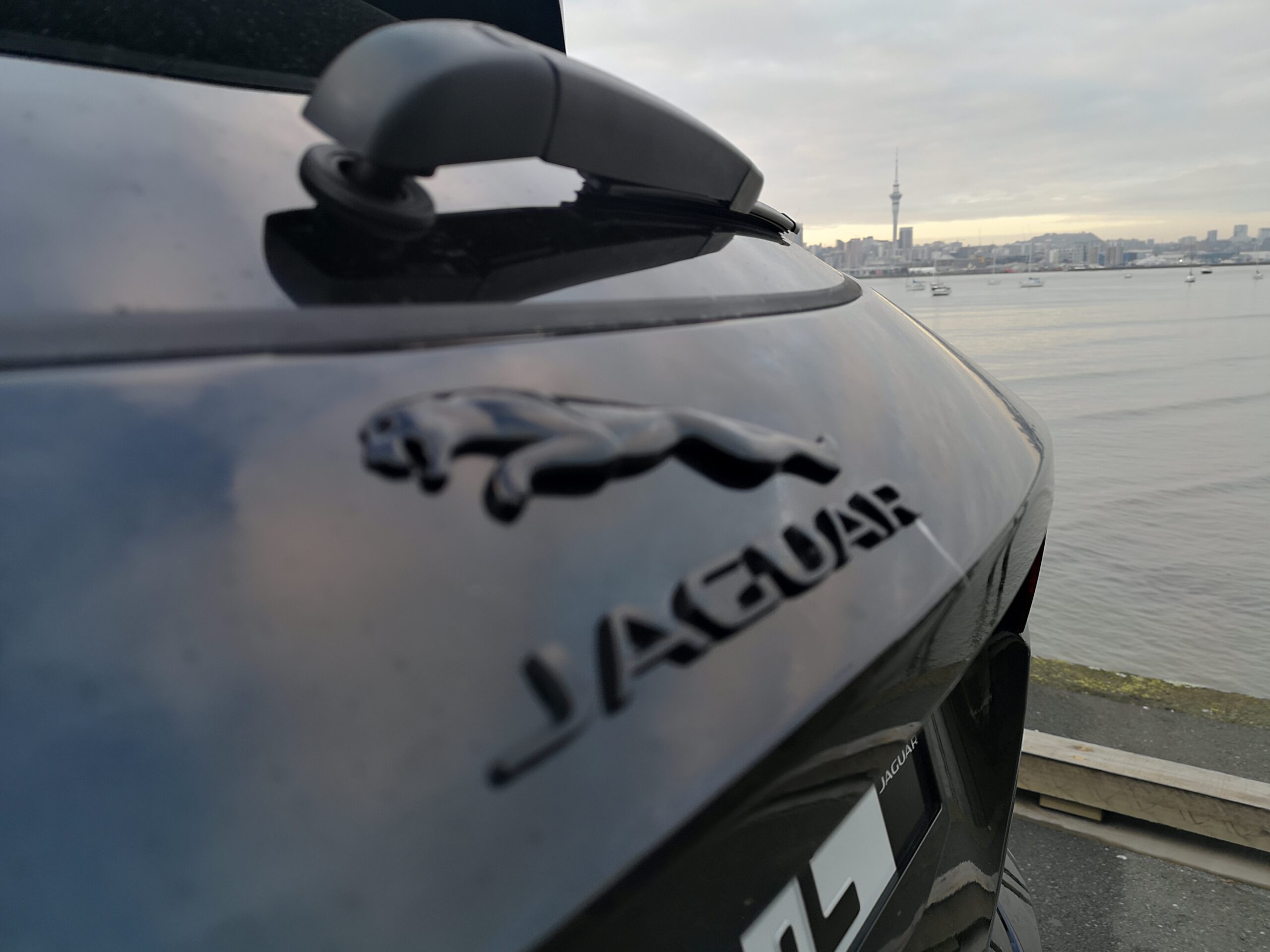 leaping Jaguar