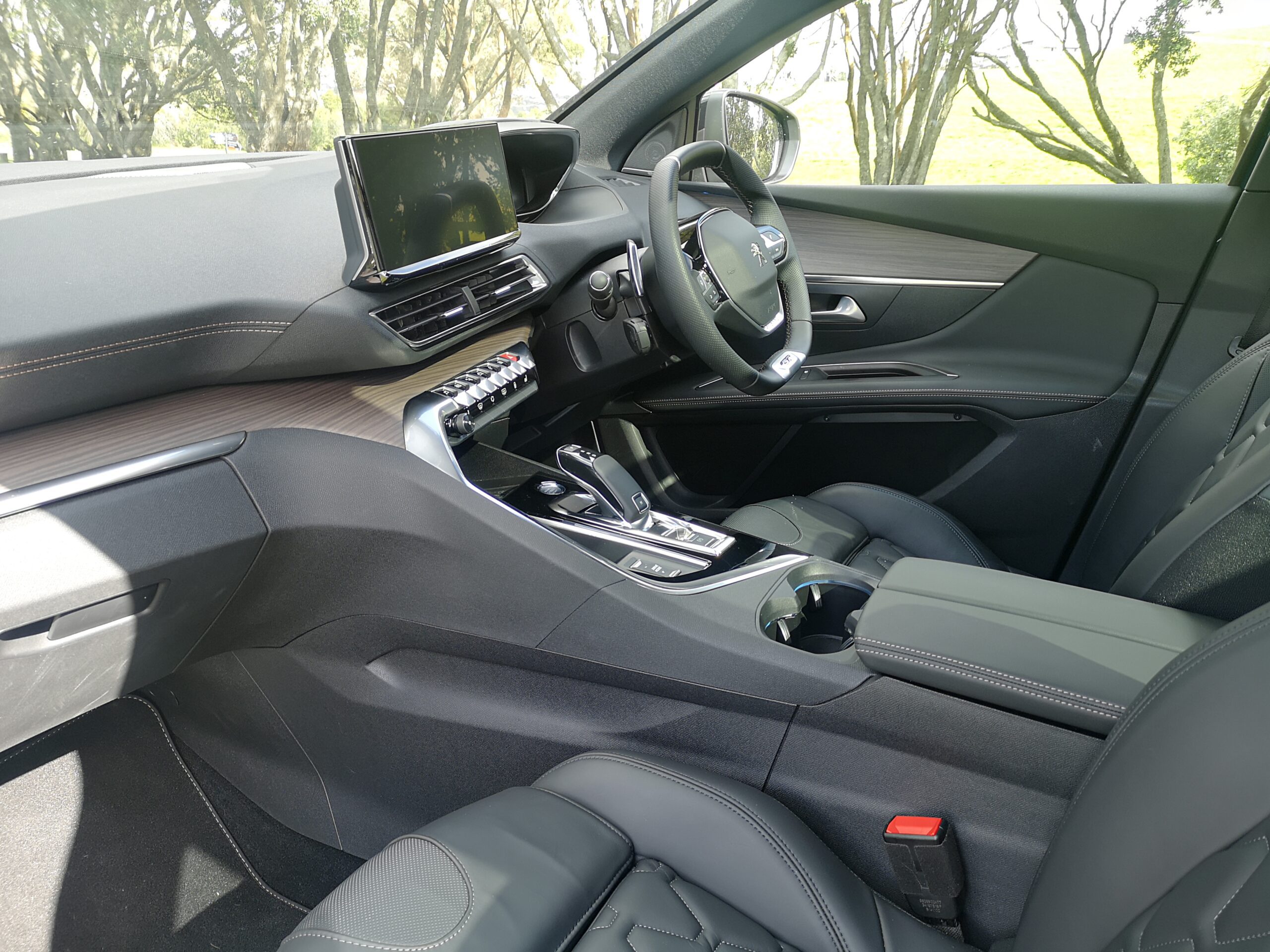 3008 Cockpit