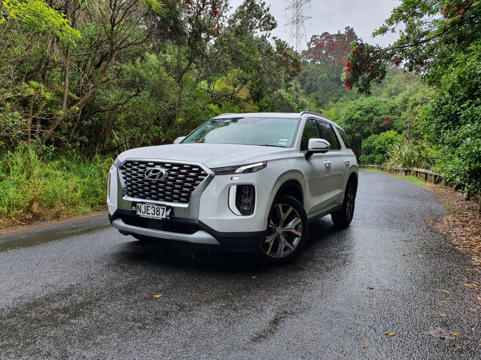 Front three quarters view of a Hyundai Palisade in white