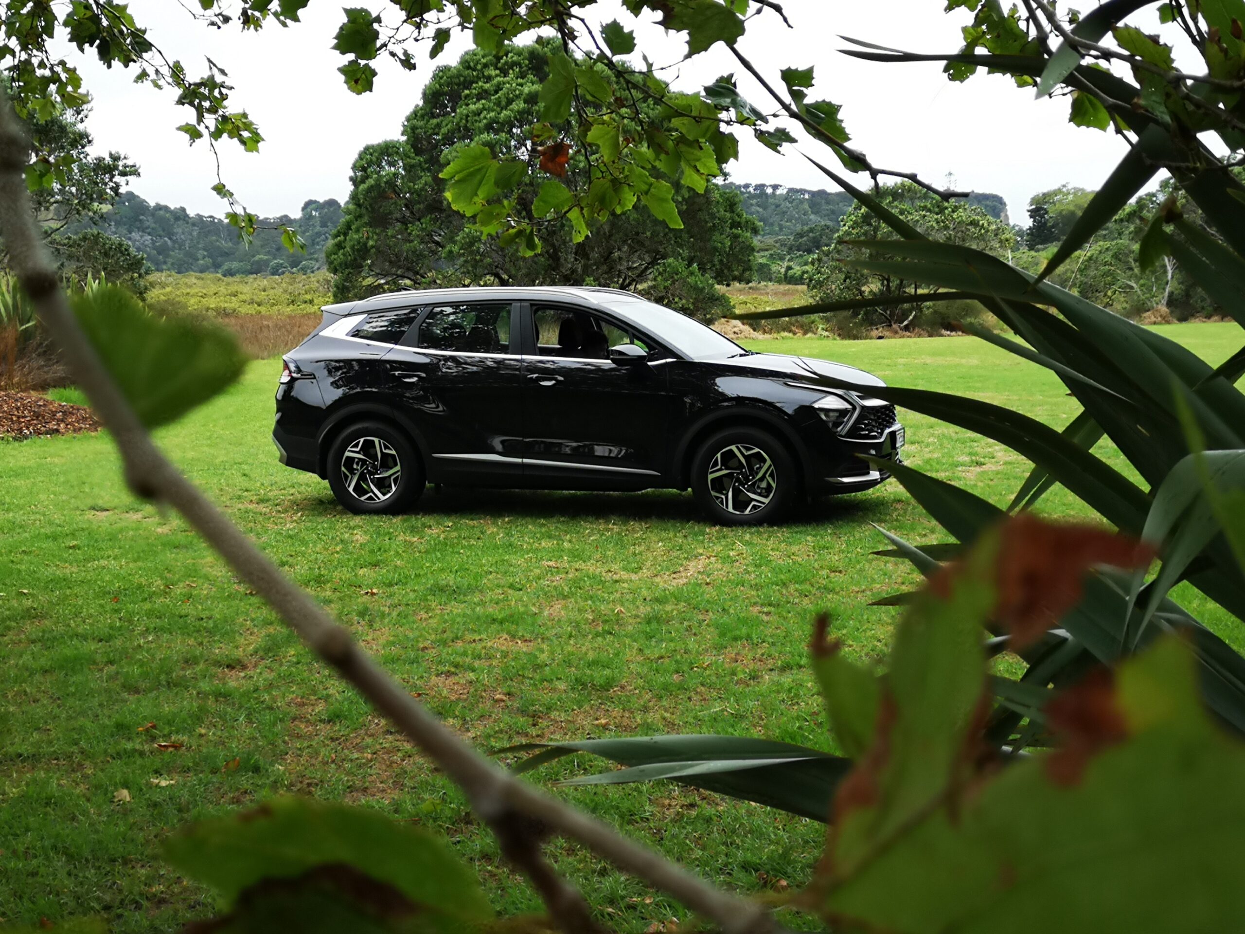 2022 Kia Sportage Review NZ