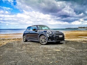 Mini electric review NZ