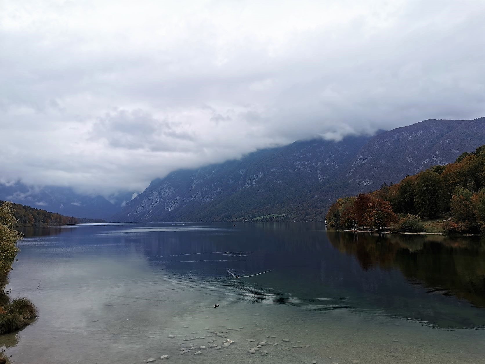 Lake Bohinj