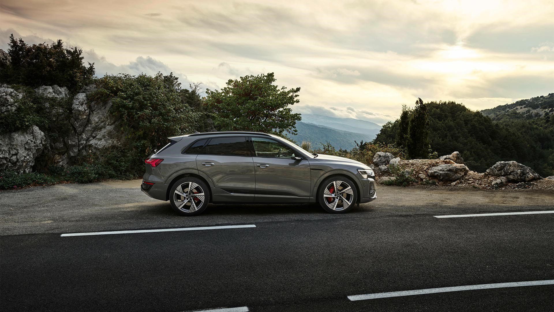 Audi Q8 e-tron NZ