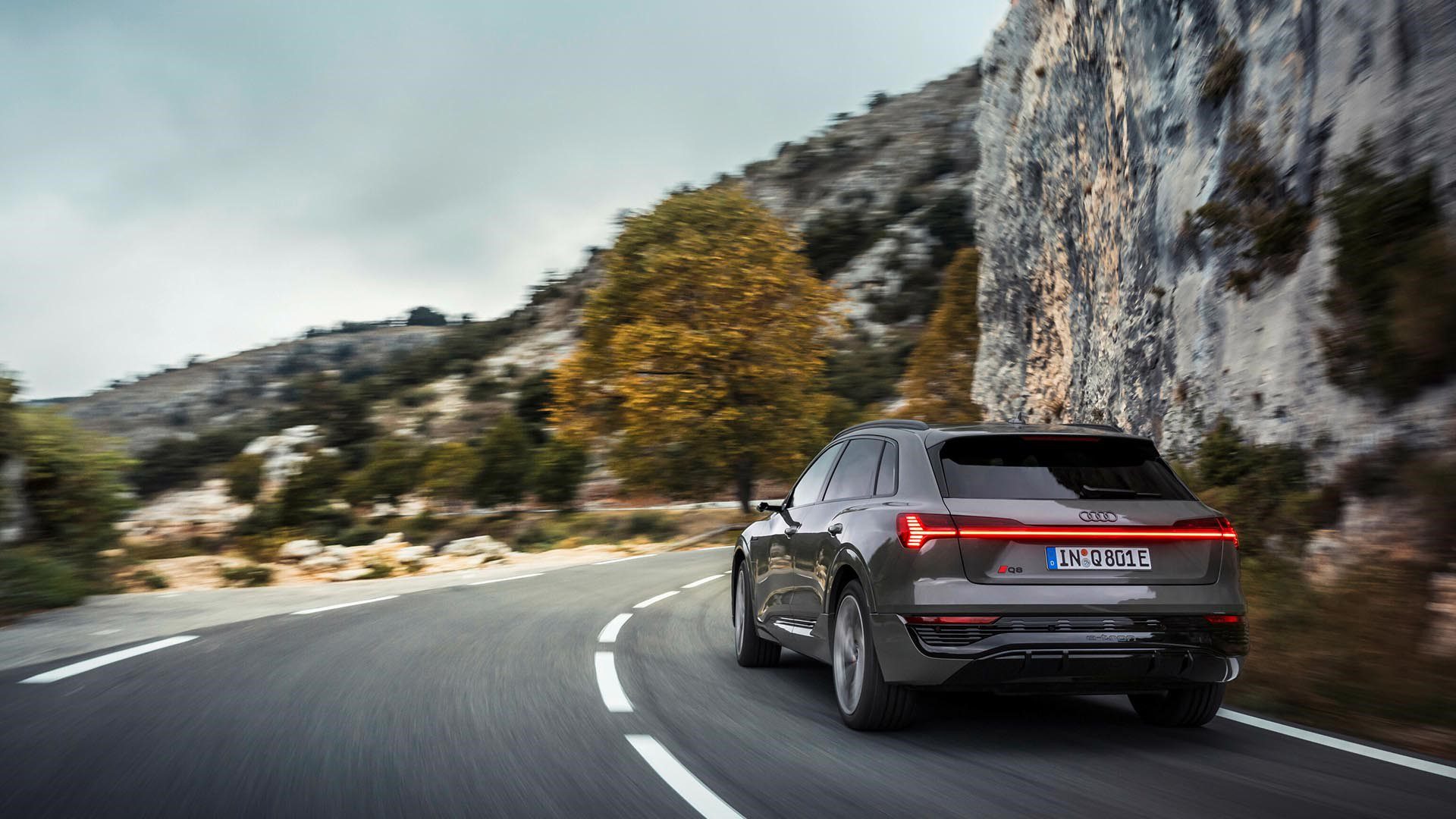 Audi Q8 e-tron NZ