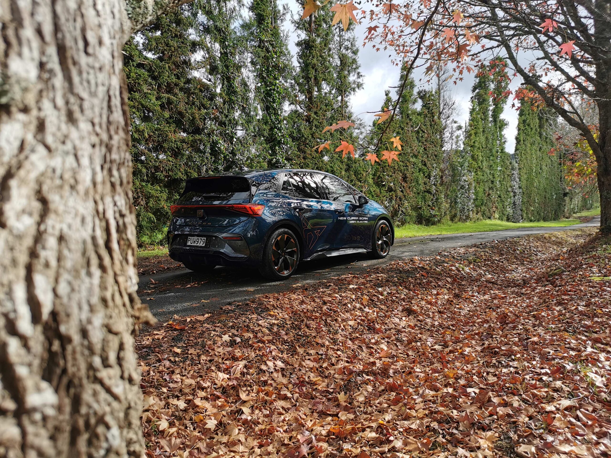 Cupra Born V+ review NZ