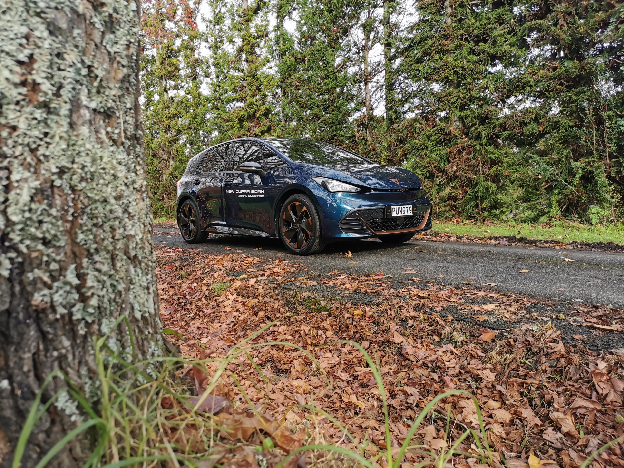 Cupra Born V+ review NZ
