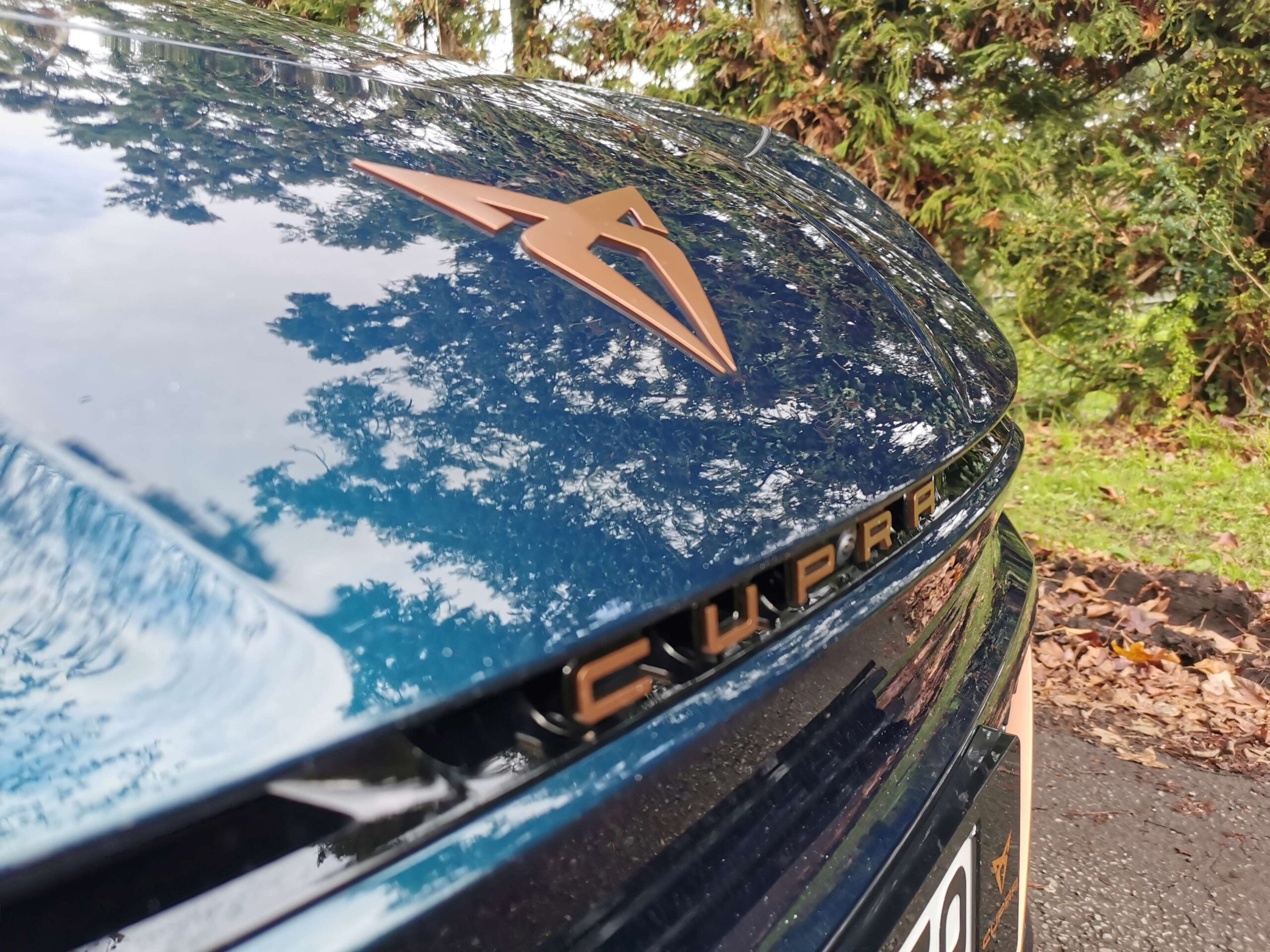 Cupra Born V+ review NZ