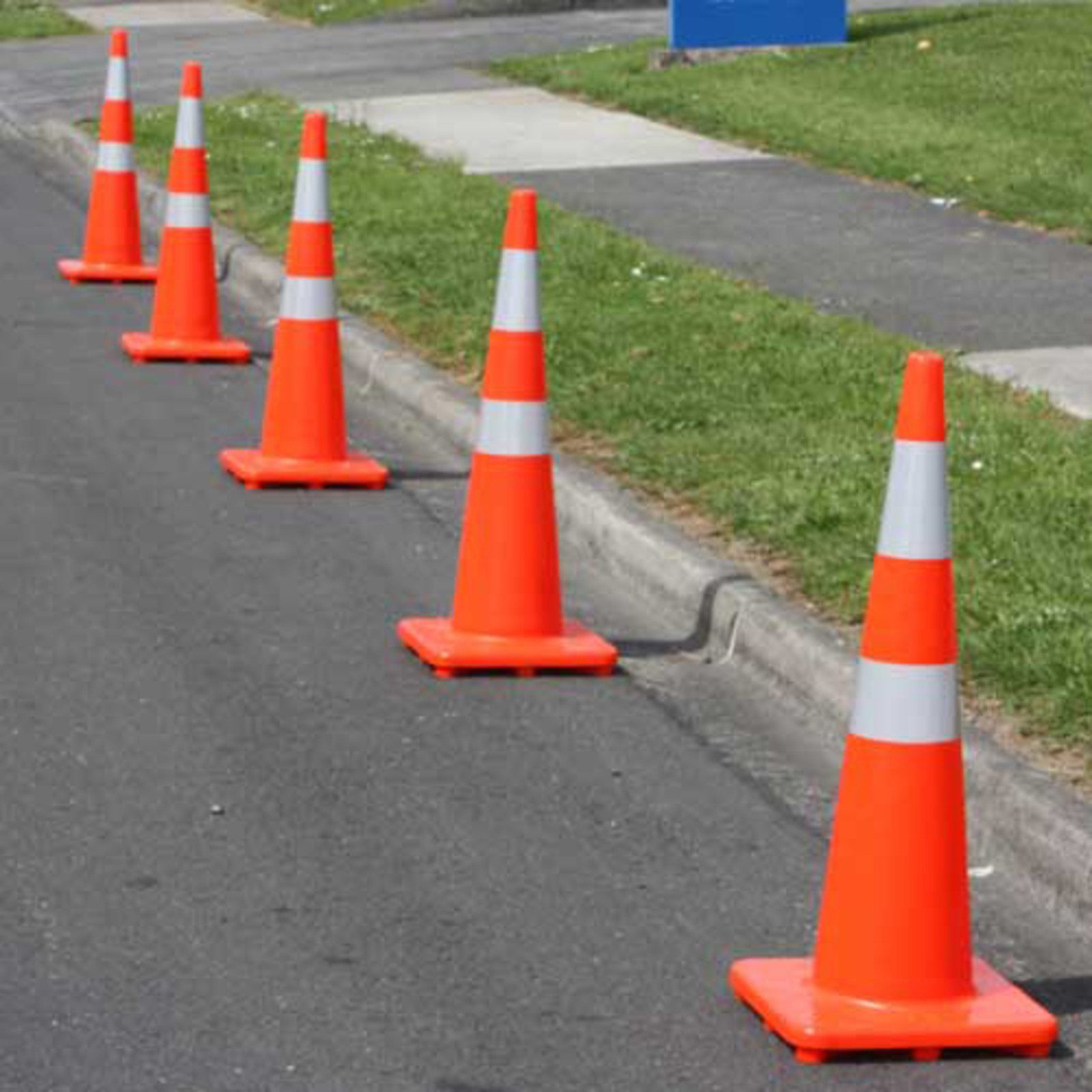 Why so many ‘kin cones?