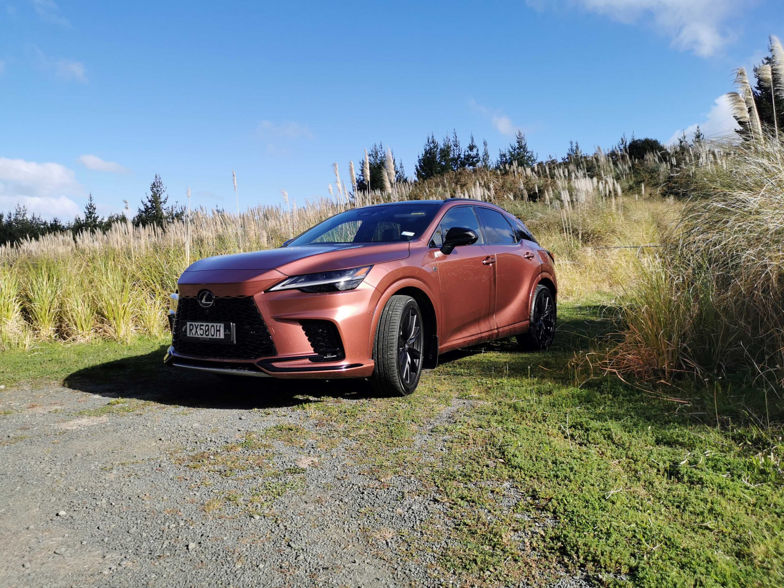 2024 Lexus RX review NZ
