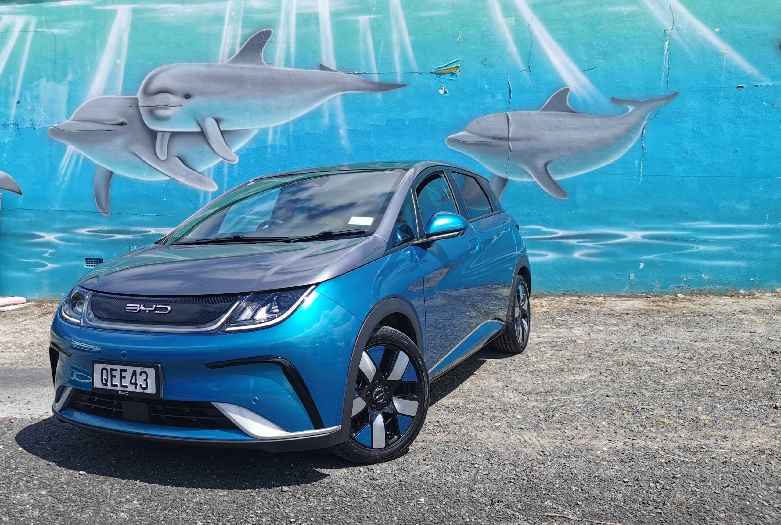 BYD Dolphin review NZ