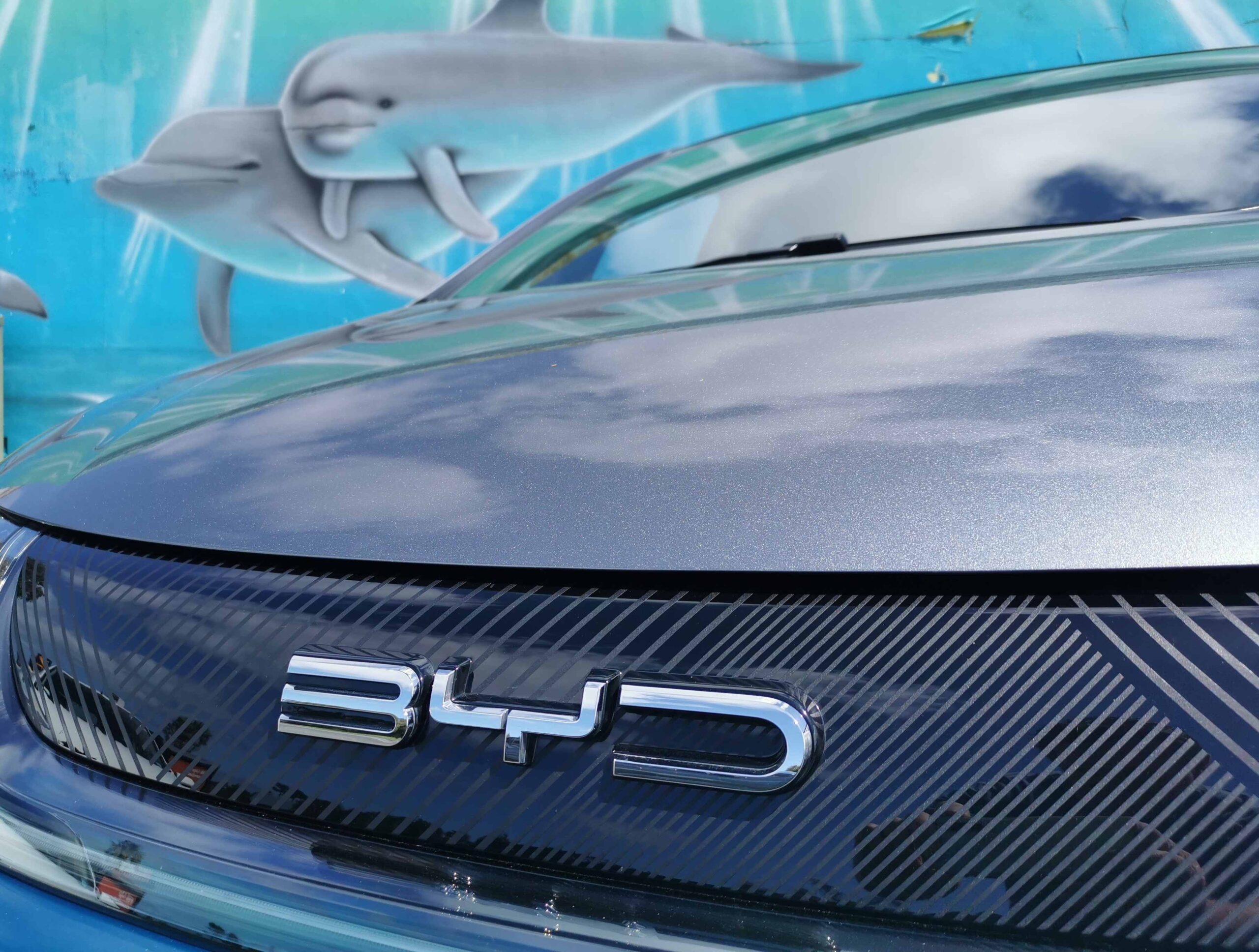 BYD Dolphin review NZ