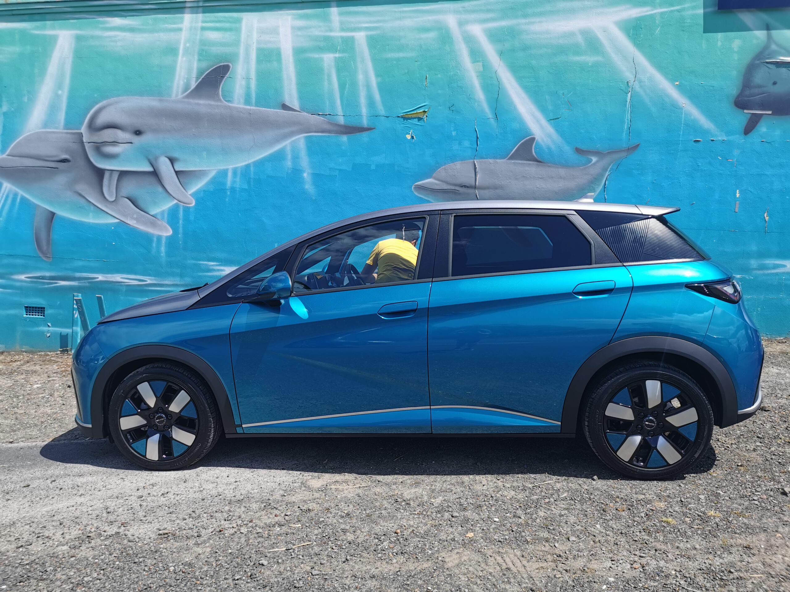 BYD Dolphin review NZ