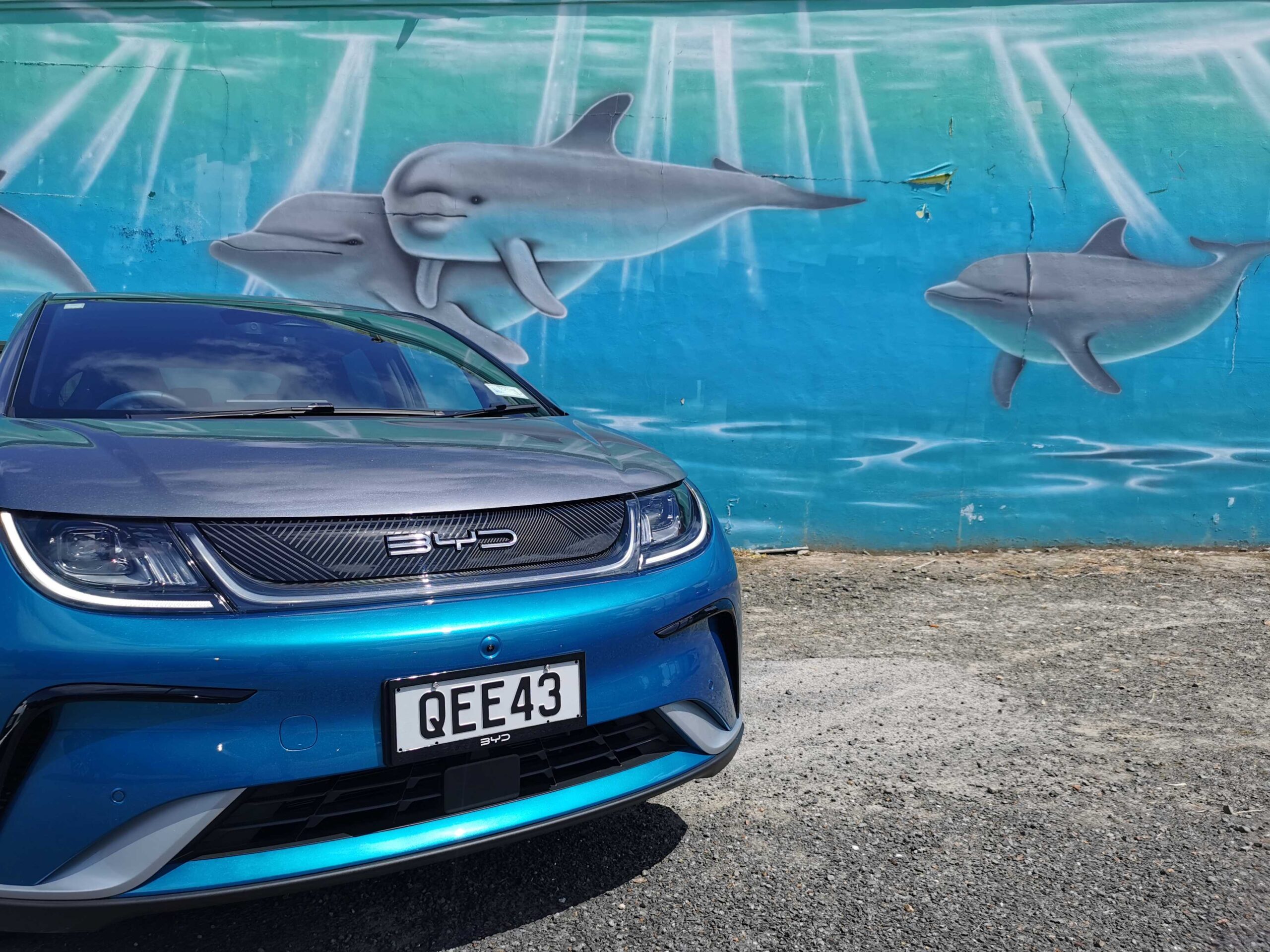 BYD Dolphin review NZ