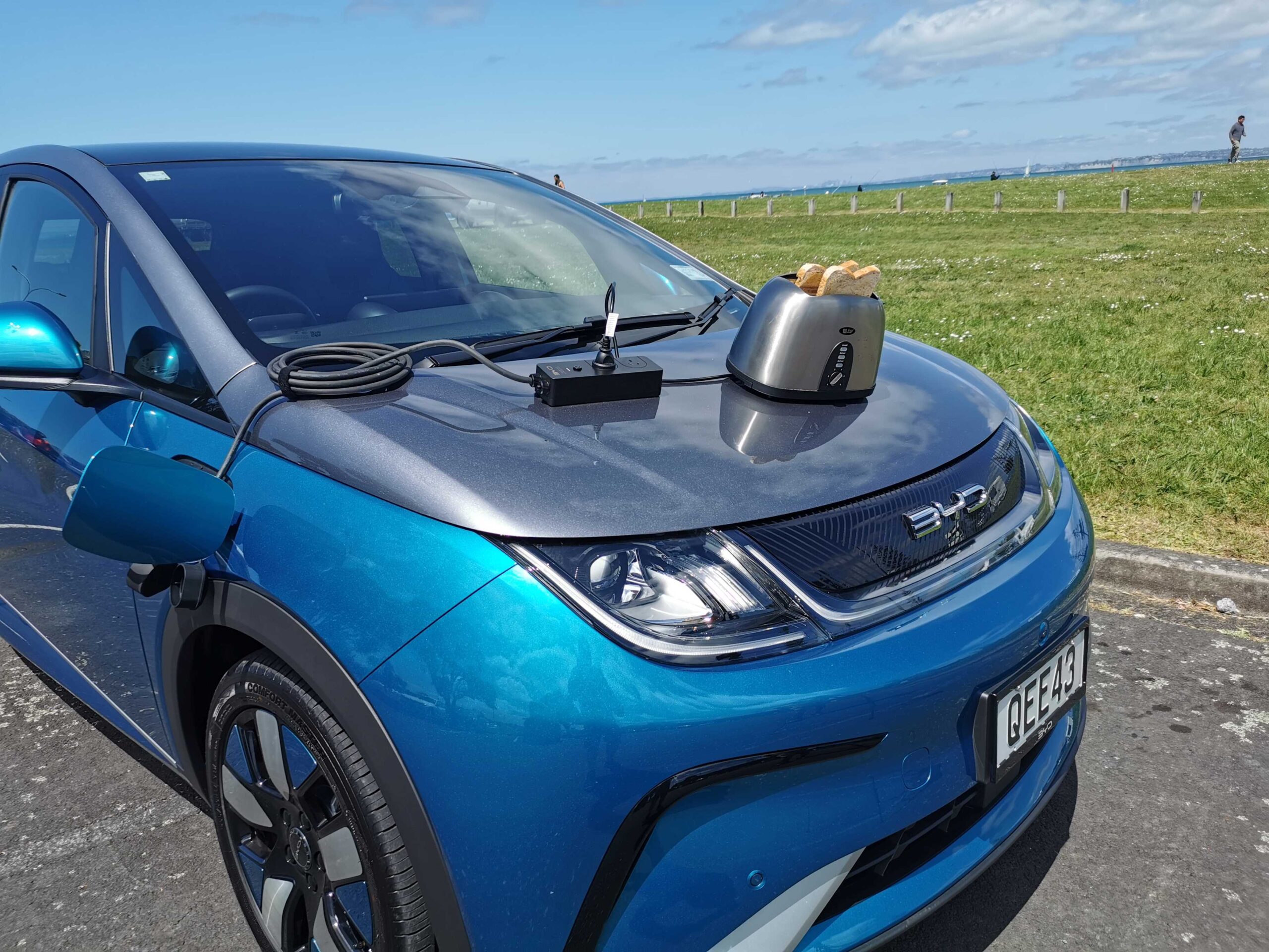 BYD Dolphin review NZ