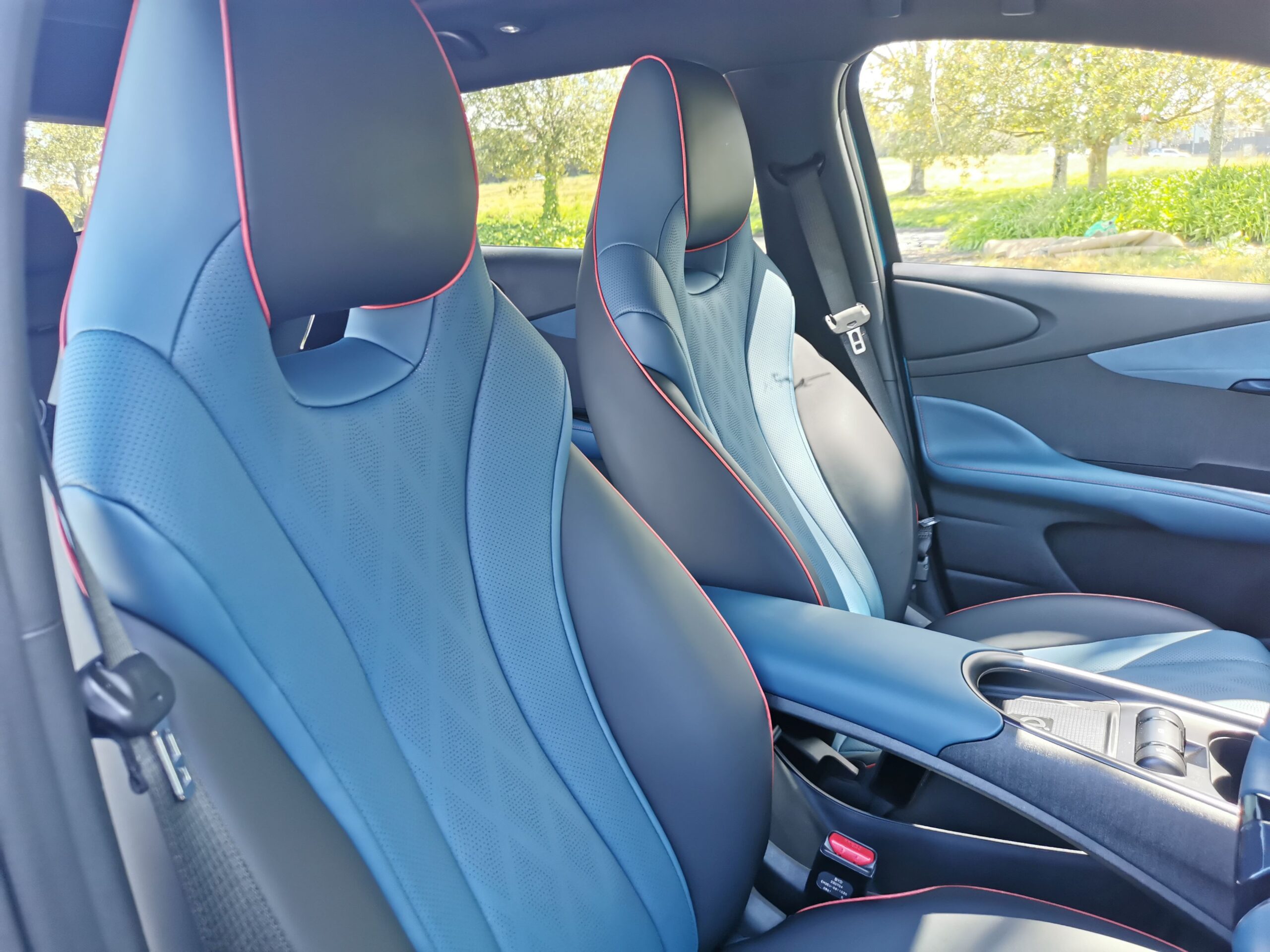 BYD Dolphin review NZ
