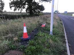 Why so many ‘kin cones?
