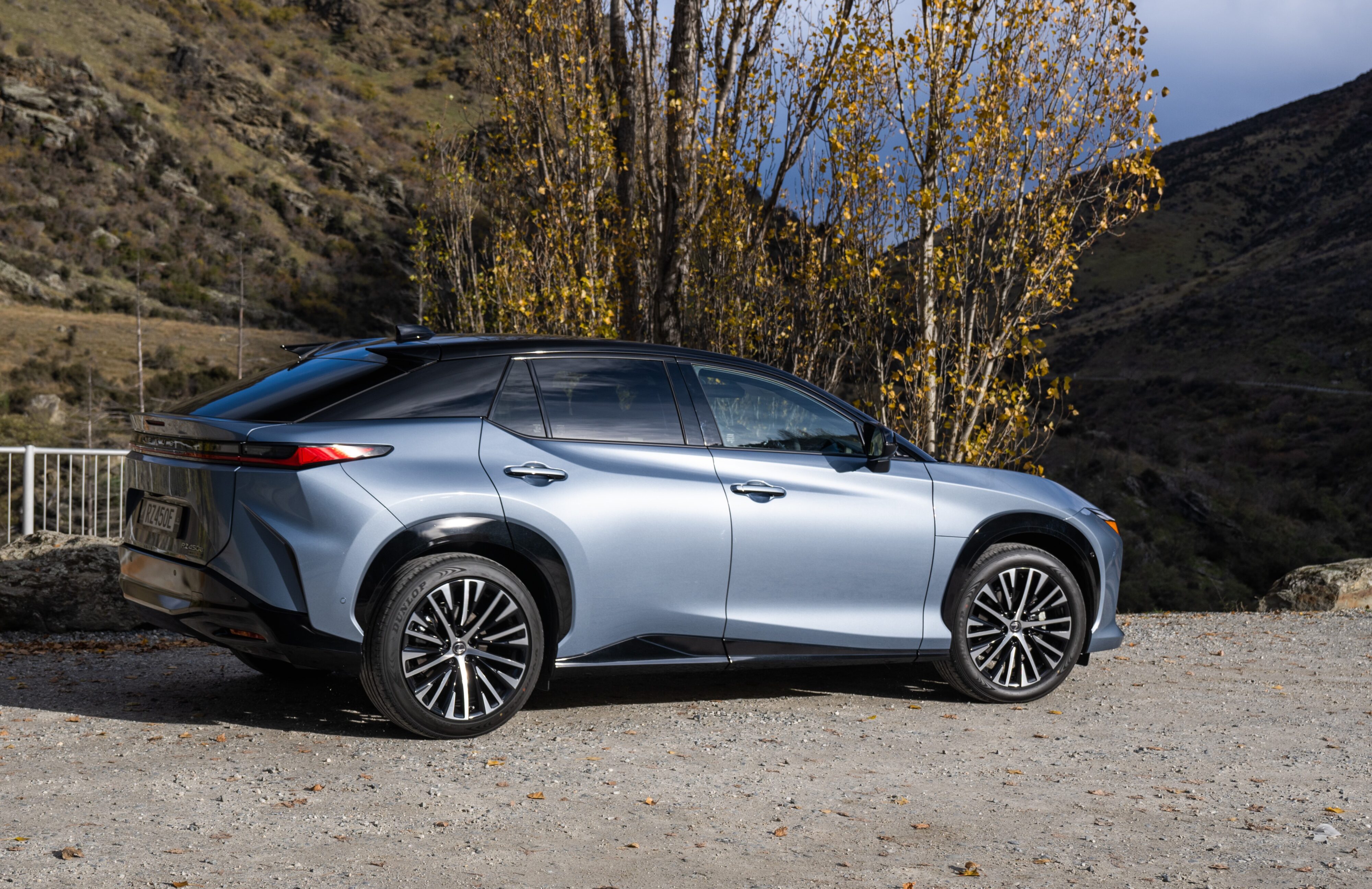 Lexus RZ review NZ