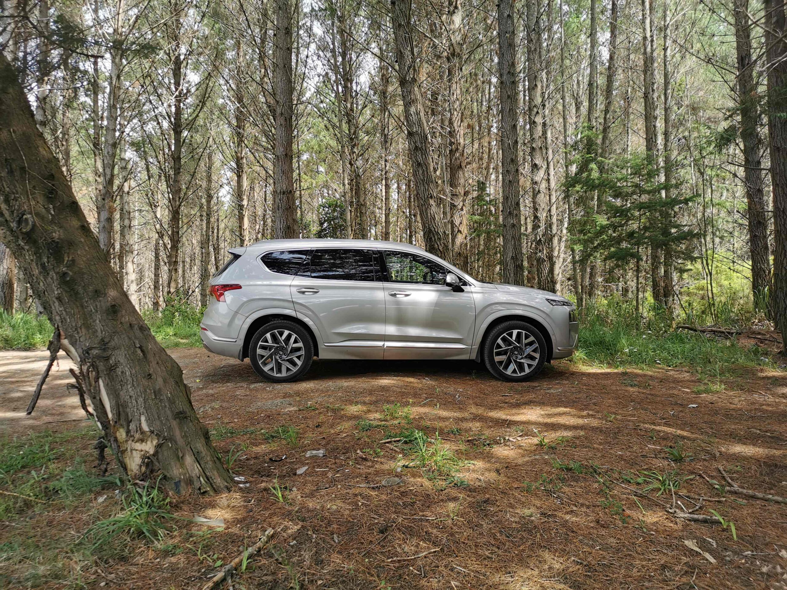 Hyundai Santa Fe Calligraphy review NZ
