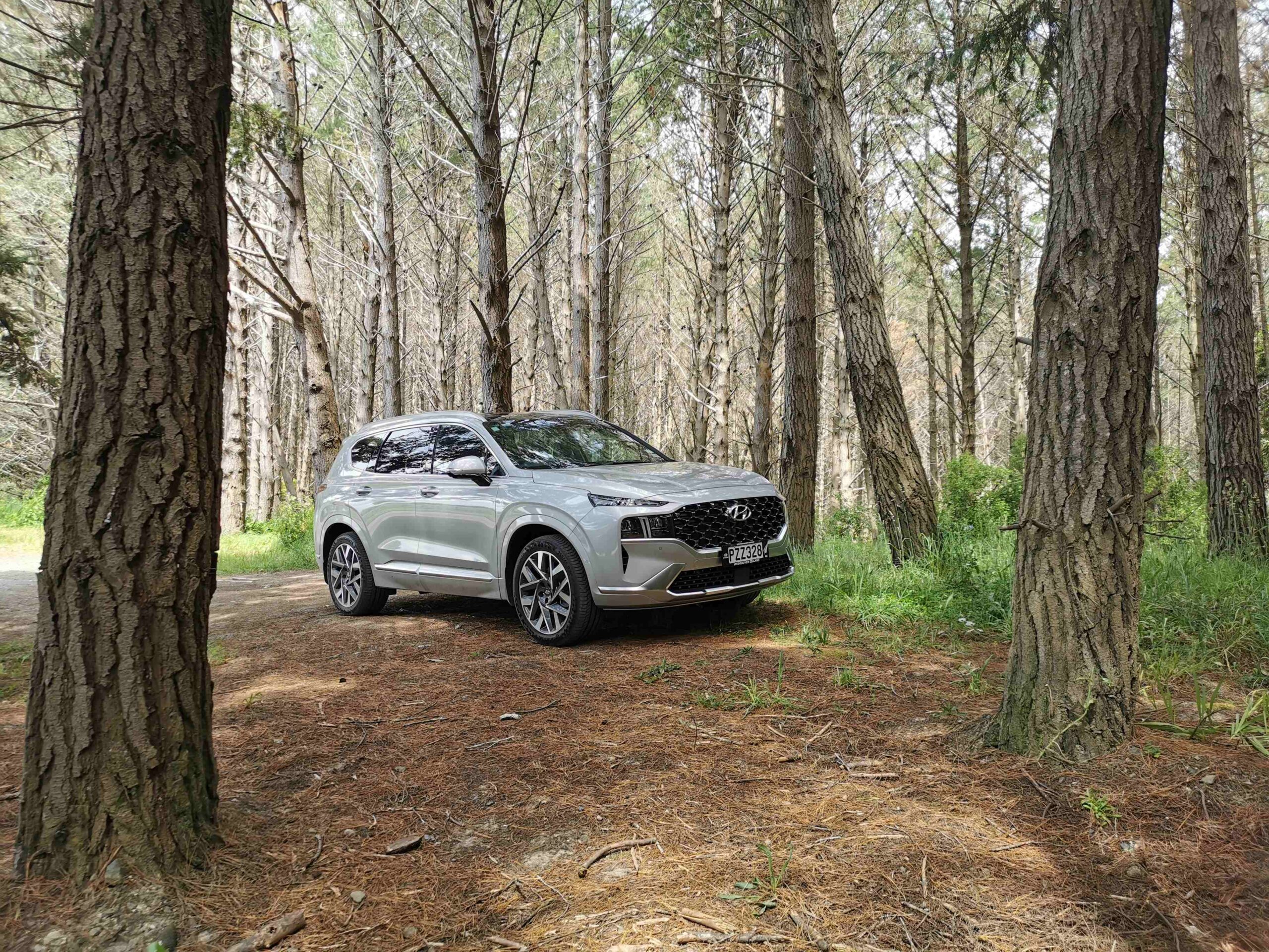 Hyundai Santa Fe Calligraphy review NZ