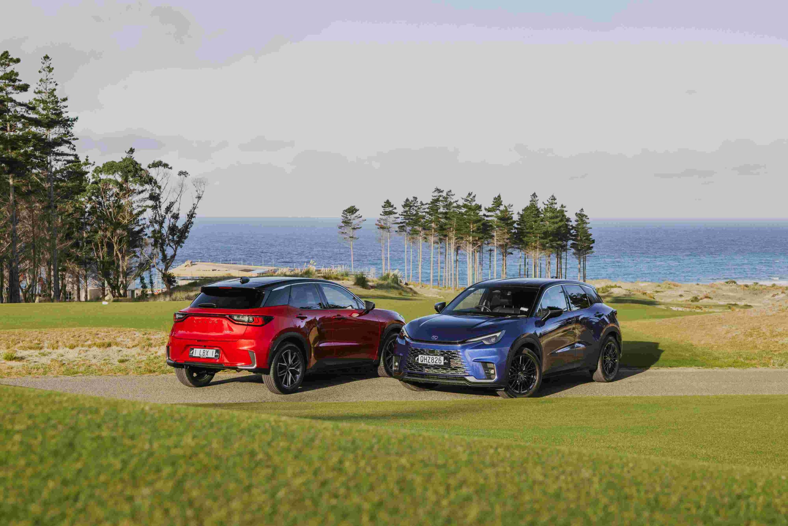 Lexus LBX NZ