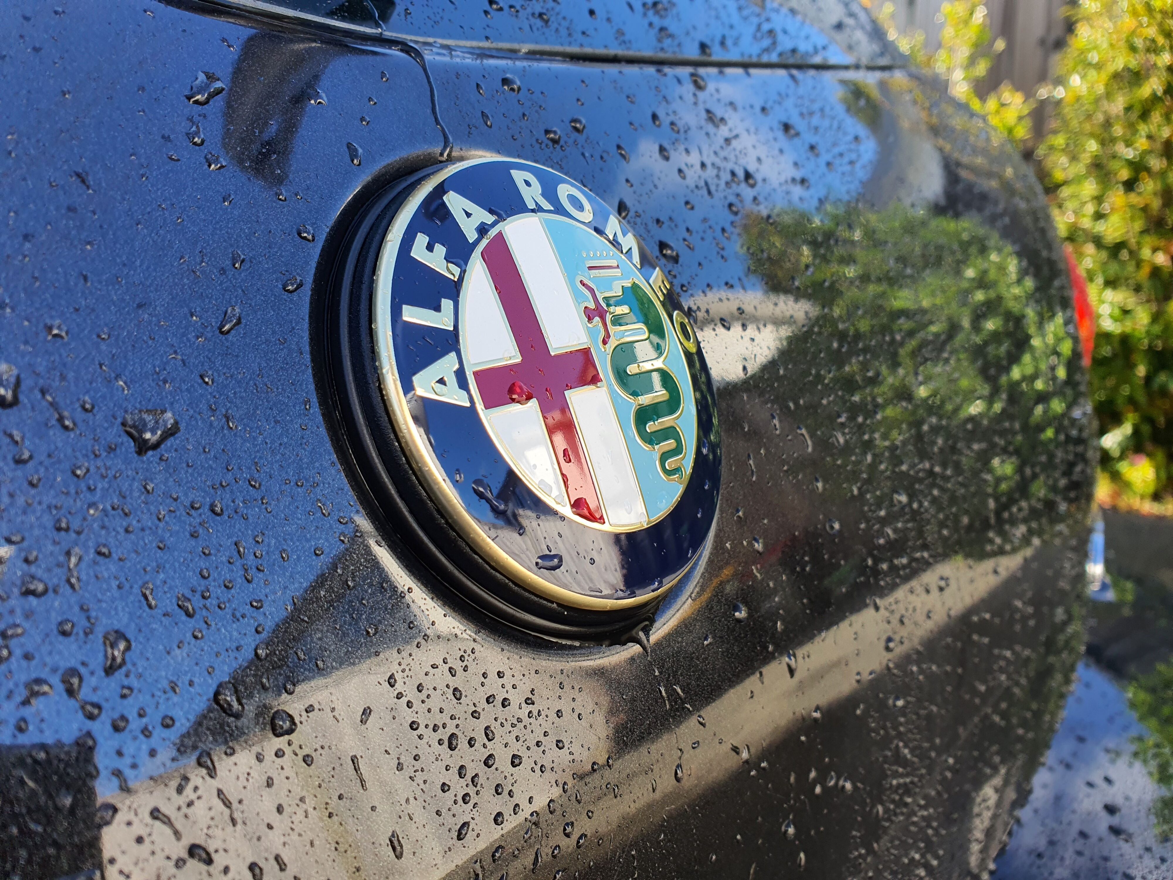 A photo of beading water around the Alfa Romeo badge of a 147 GTA post a wash with Armor All's new Wash & Wax.